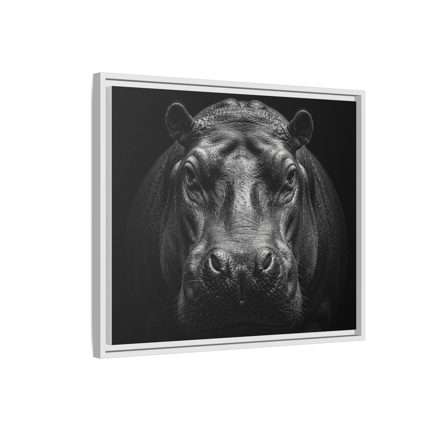 Framed Canvas Print — Hippopotamus In Black