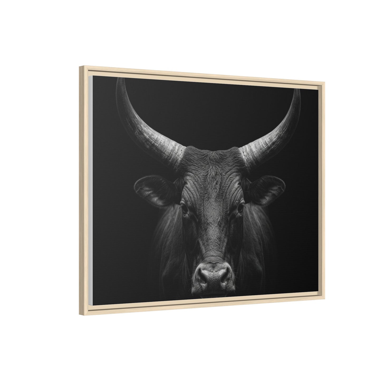 Framed Canvas Print — Ankole Cow In Black