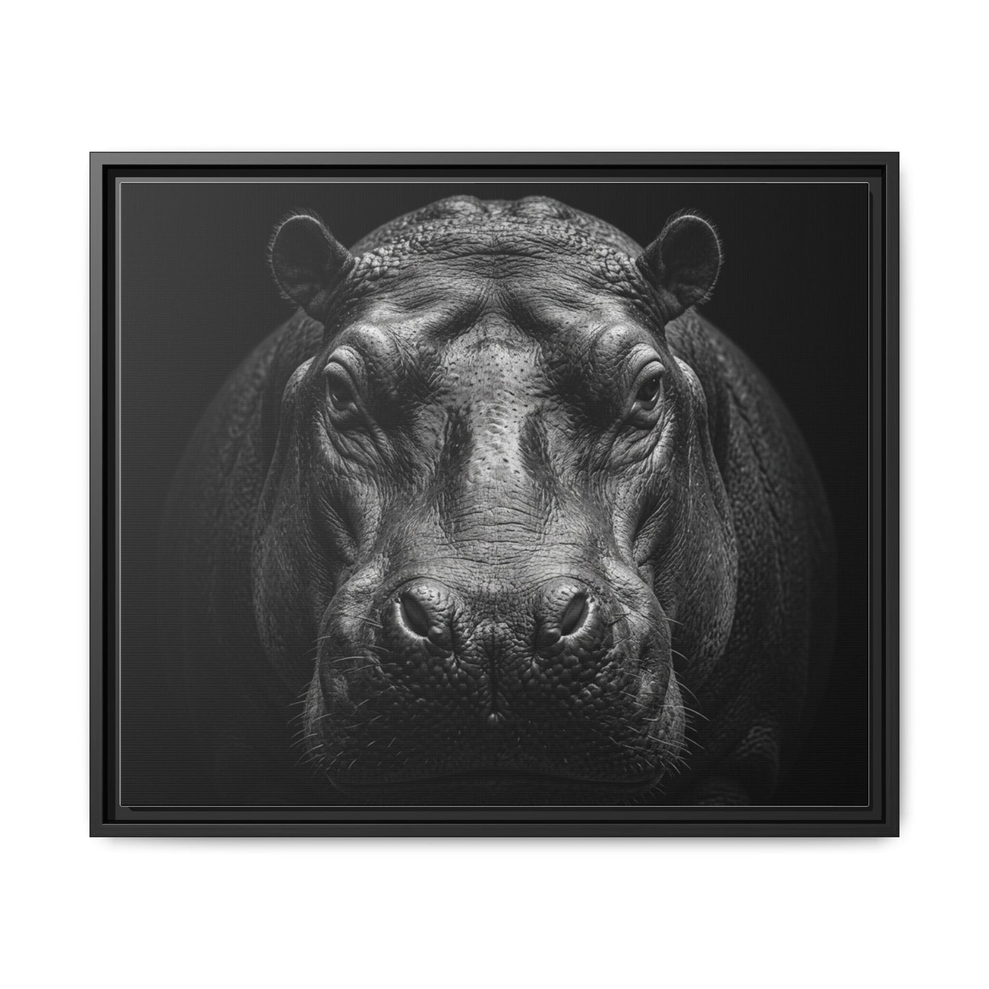 Framed Canvas Print — Hippopotamus In Black