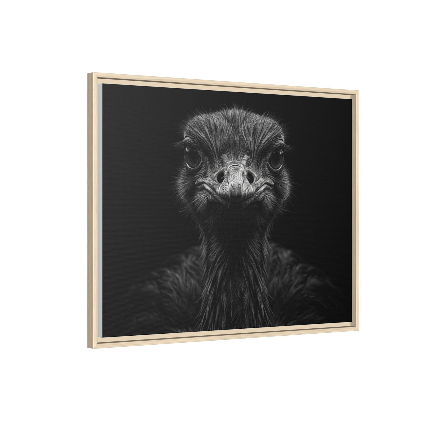 Framed Canvas Print — Ostrich In Black