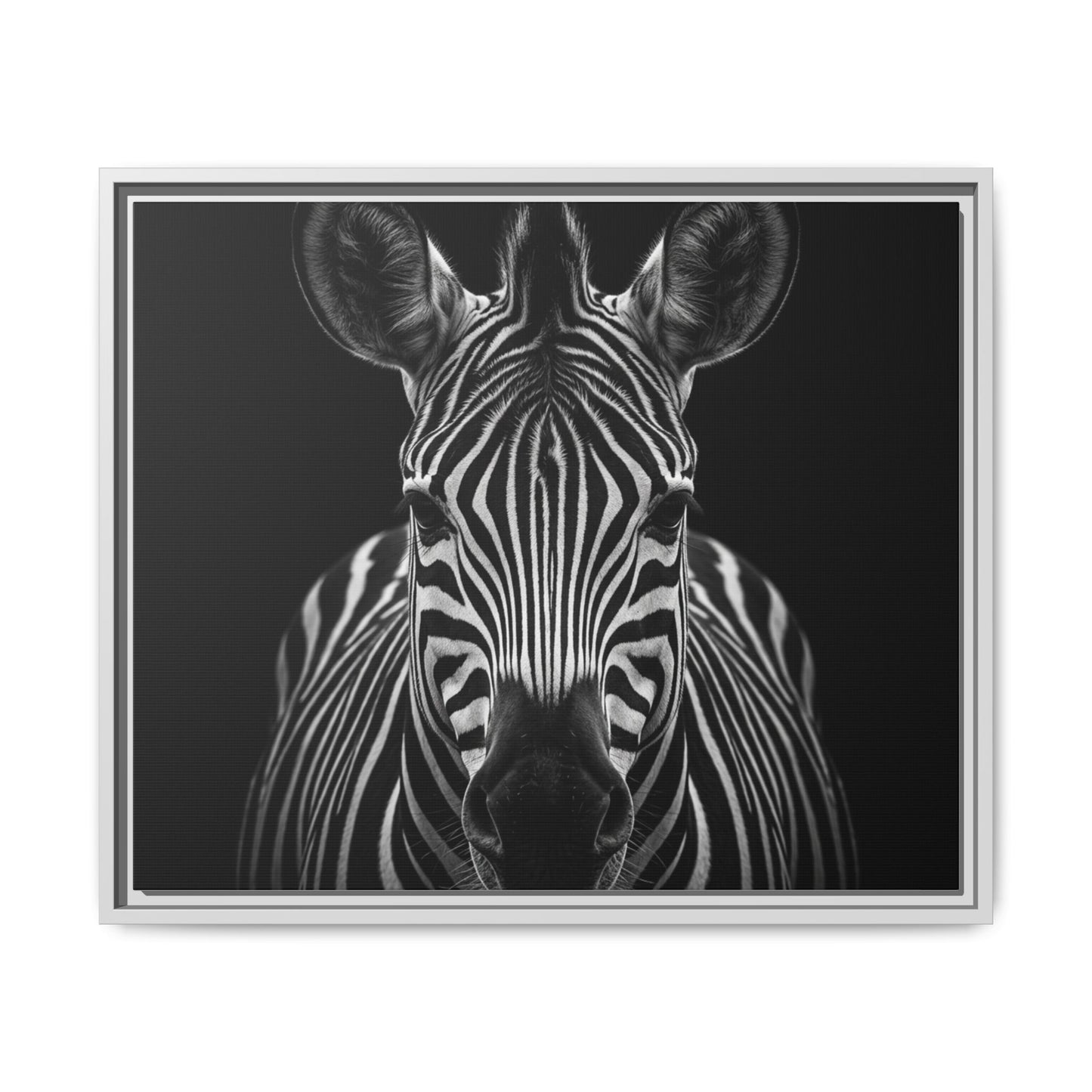 Framed Canvas Print — Zebra In Black