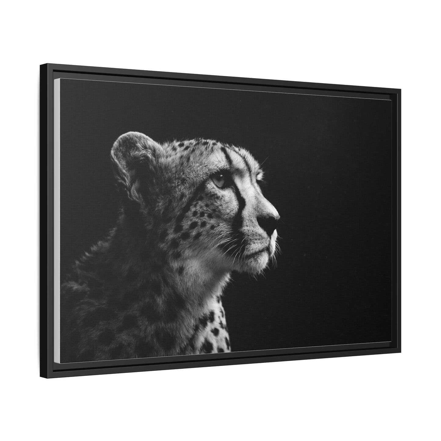Framed Canvas Print — Cheetah Gaze