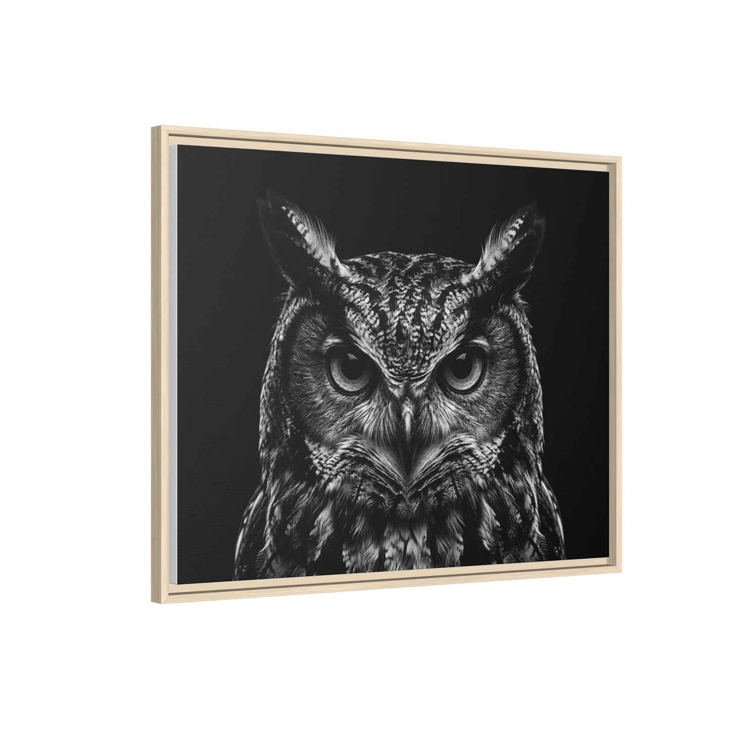 Framed Canvas Print — Scops Owl In Black