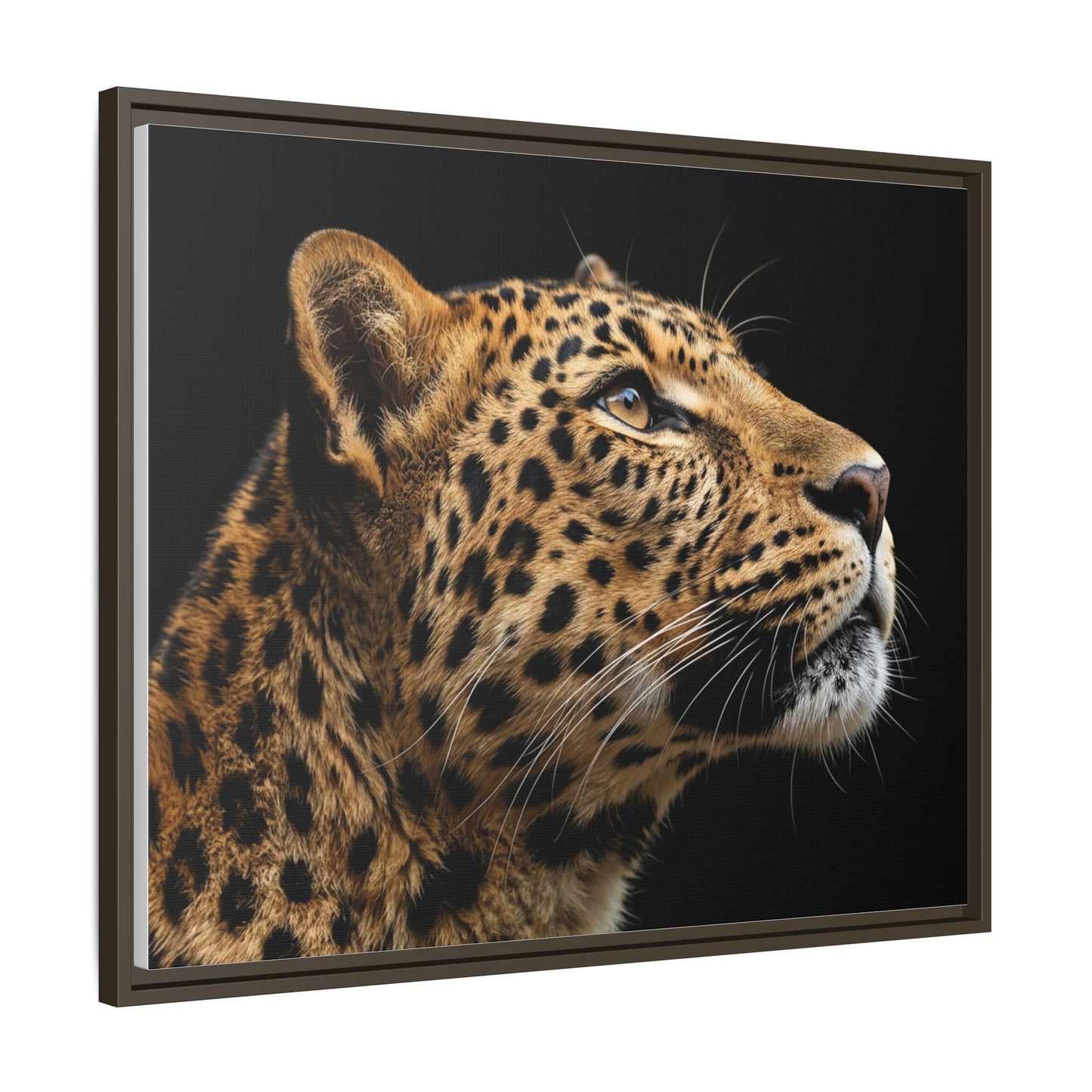 Framed Canvas Print — Leopard In Colour
