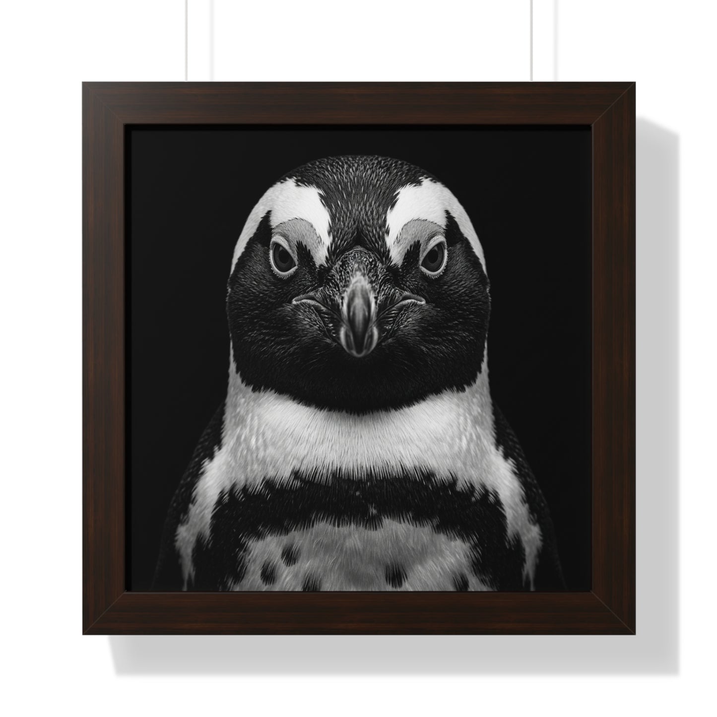 Framed Art Print – Afrikan Penguin In Black