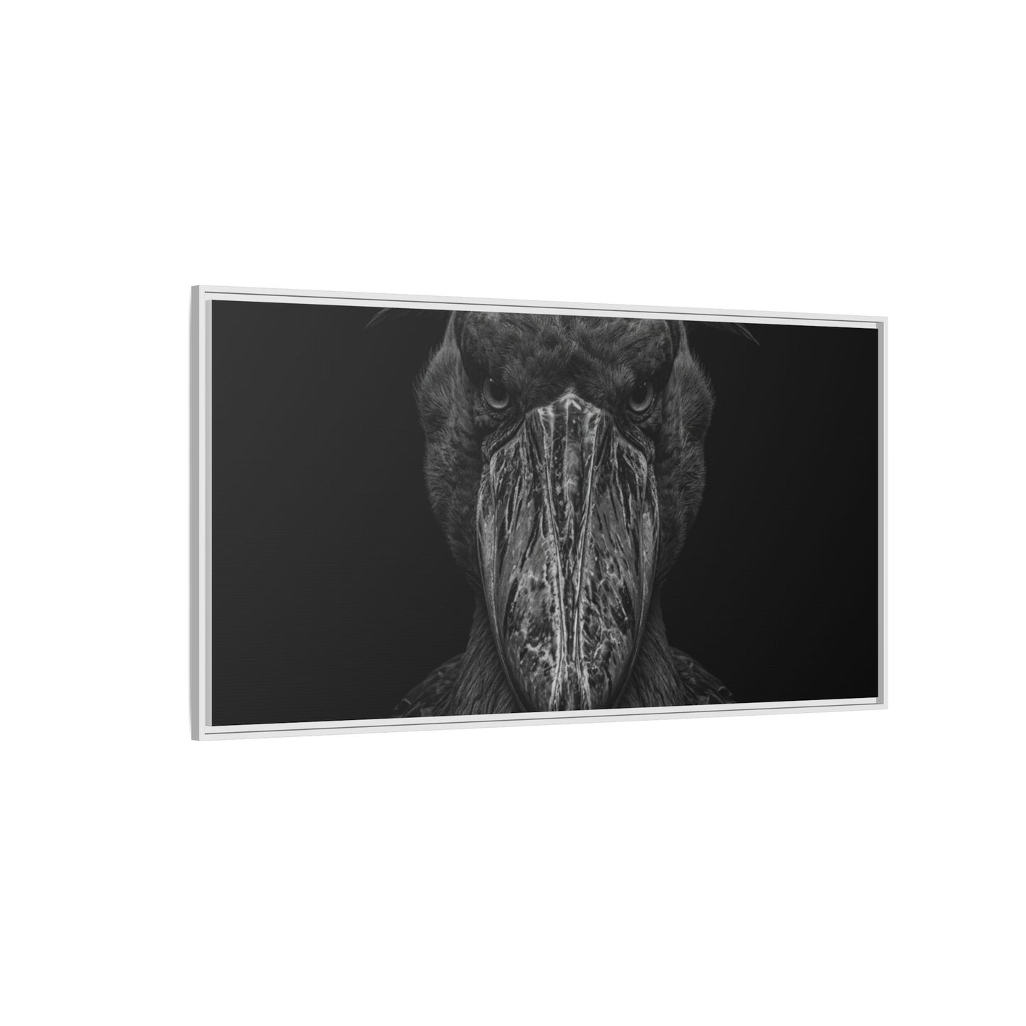 Framed Canvas Print — Shoebill Stock In Black