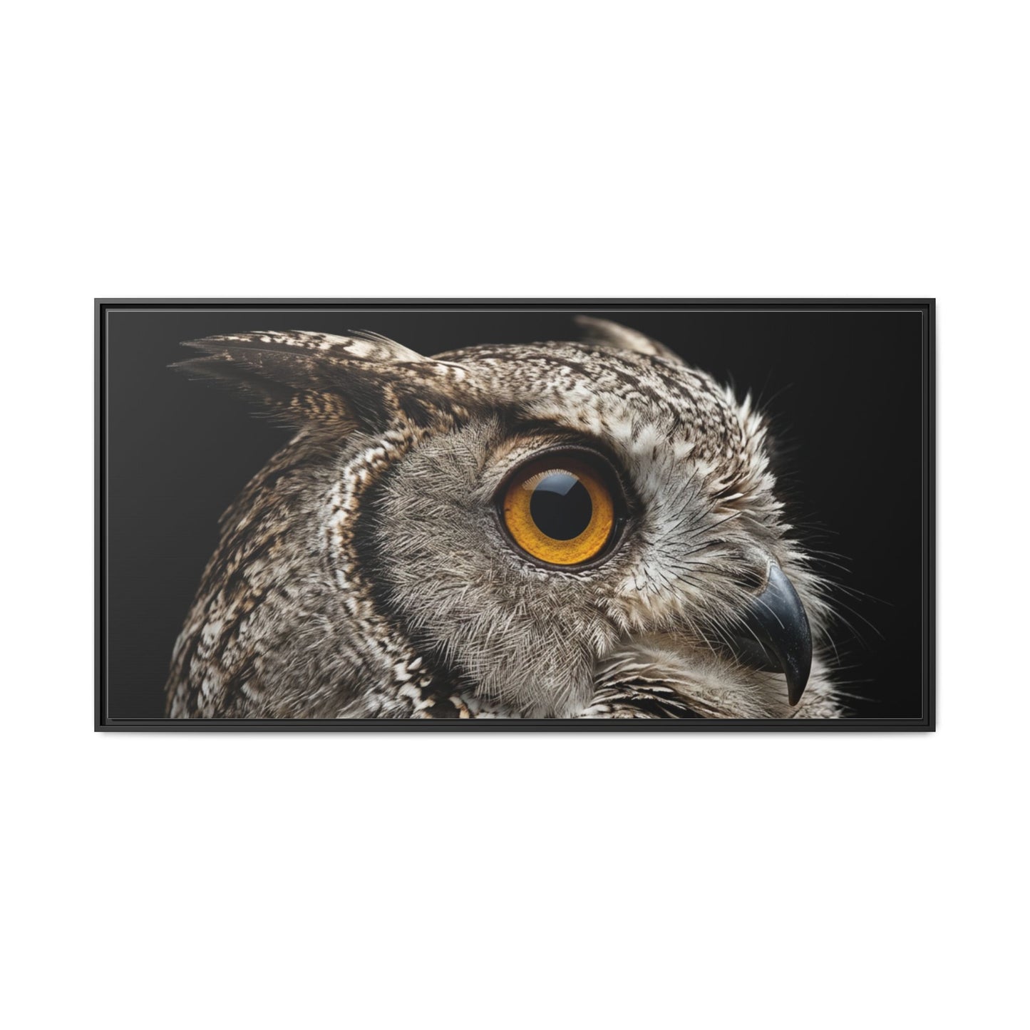 Framed Canvas Print — Scops Owl In Colour
