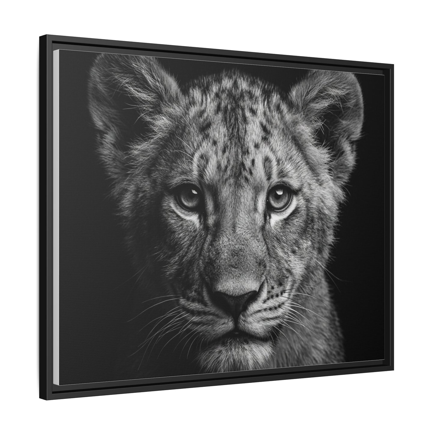 Framed Canvas Print — Lion Cub In Black