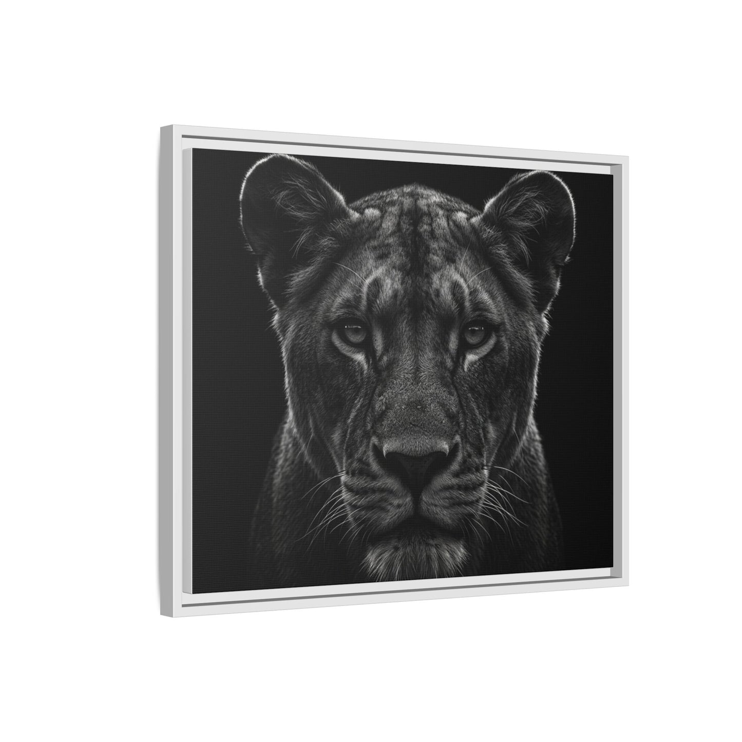 Framed Canvas Print — Lioness In Black