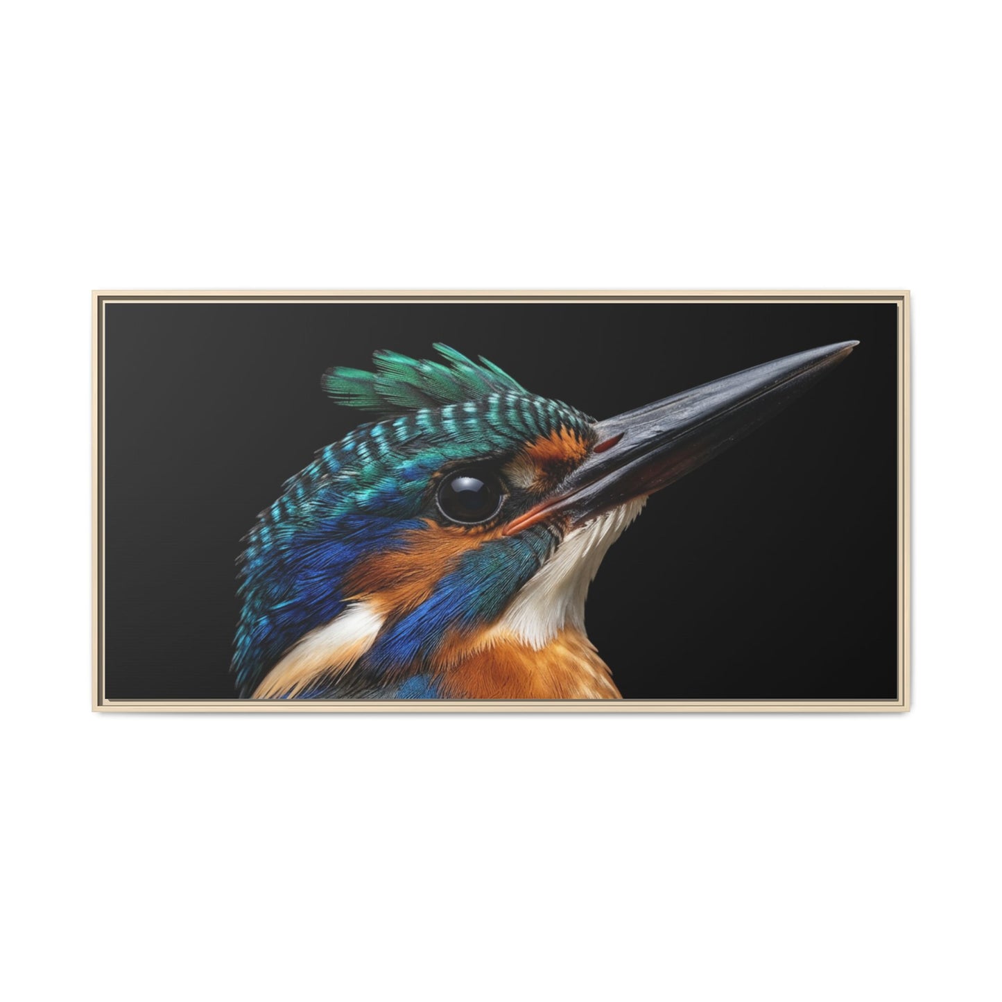 Framed Canvas Print — Malachite Kingfisher In Colour