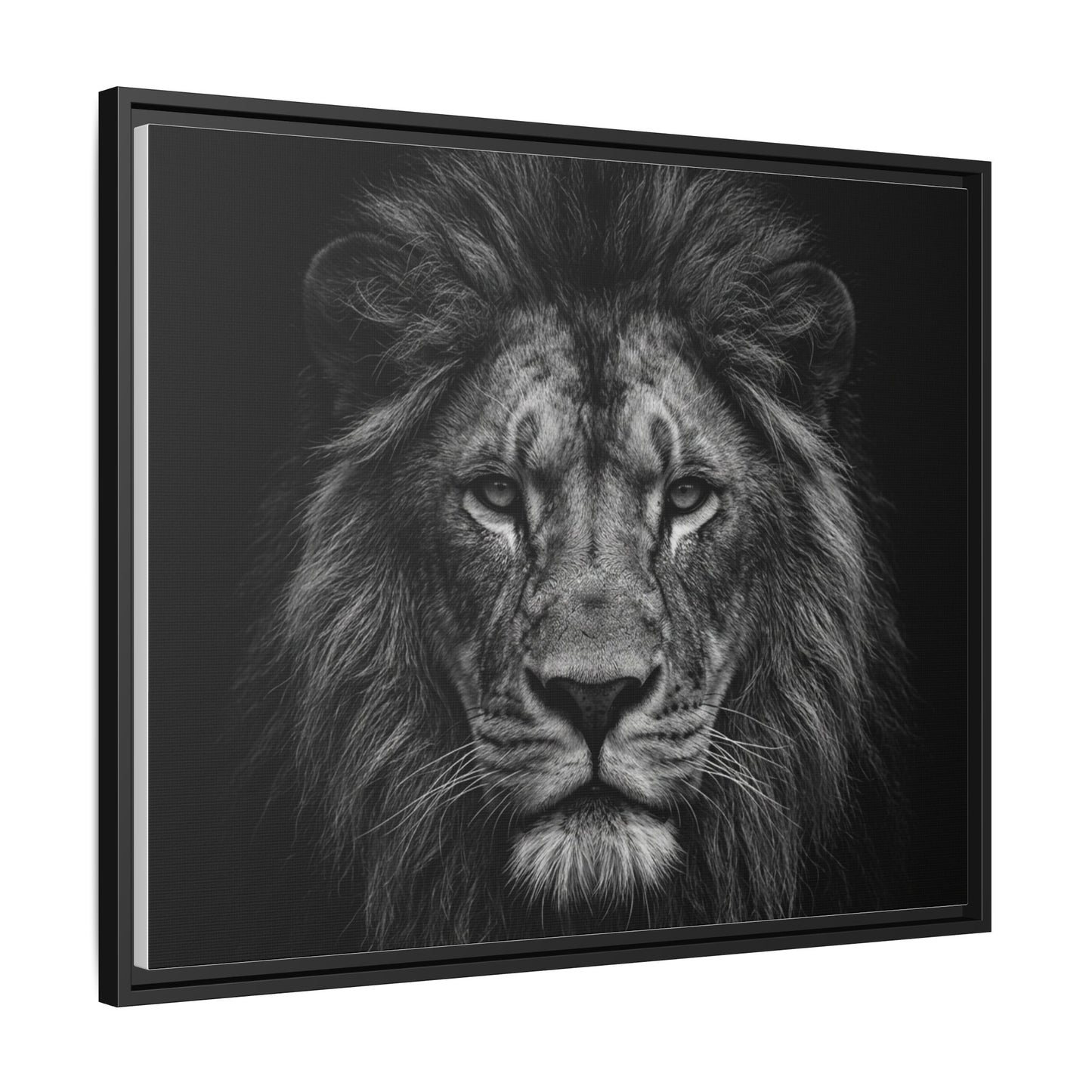 Framed Canvas Print — Lion In Black