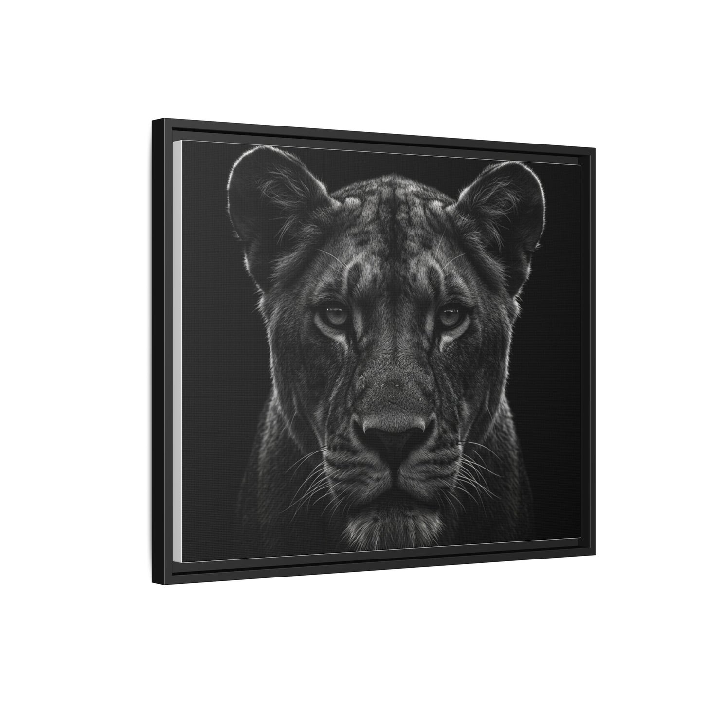Framed Canvas Print — Lioness In Black