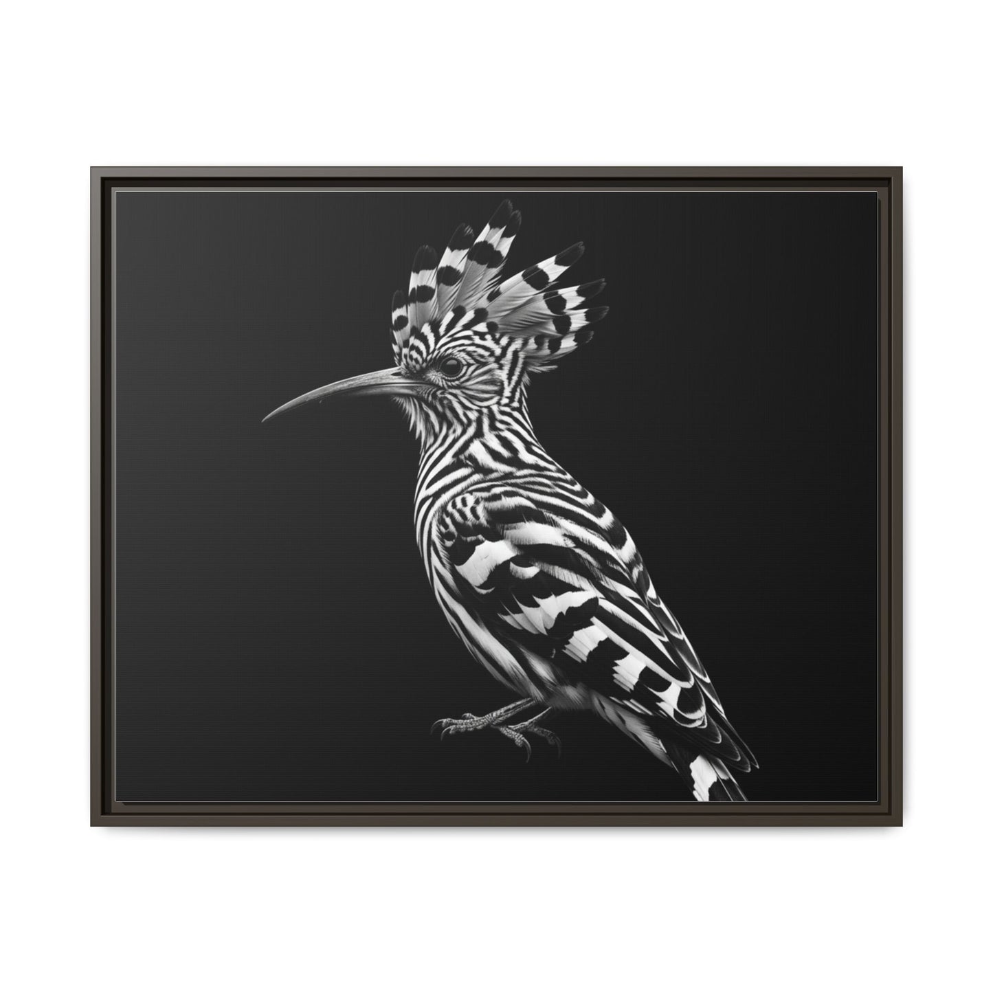 Framed Canvas Print — Afrikan Hoopoe In Black