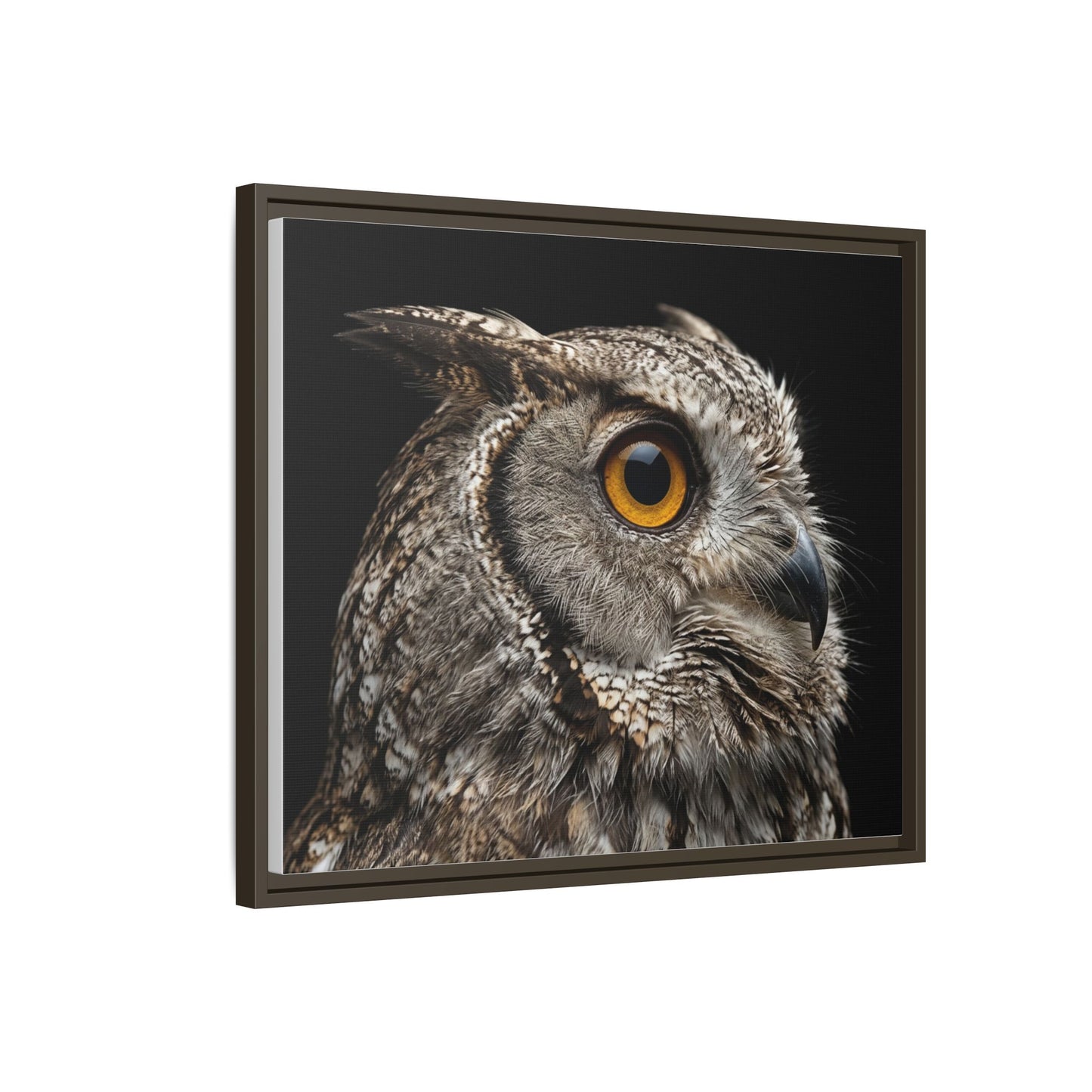 Framed Canvas Print — Scops Owl In Colour