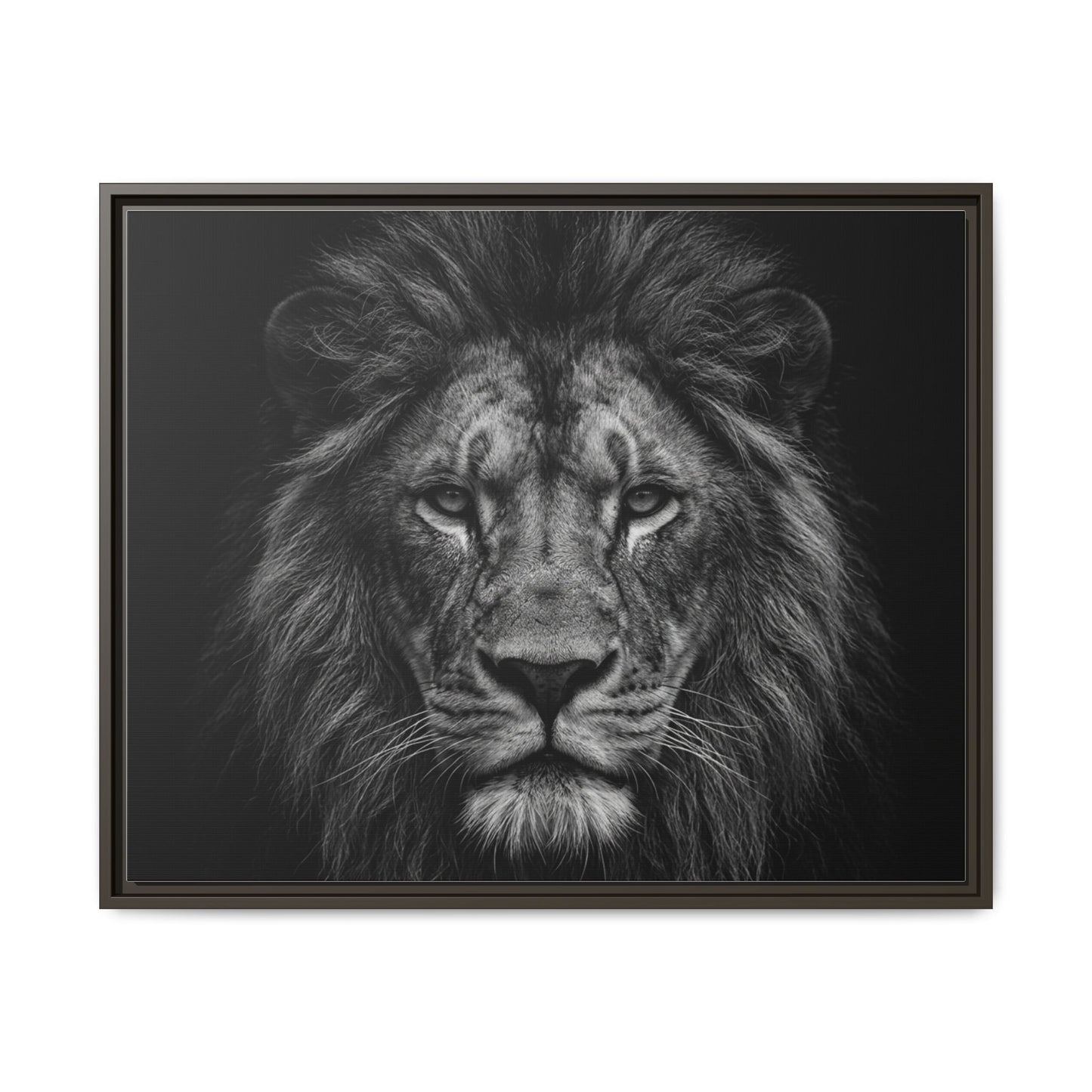 Framed Canvas Print — Lion In Black