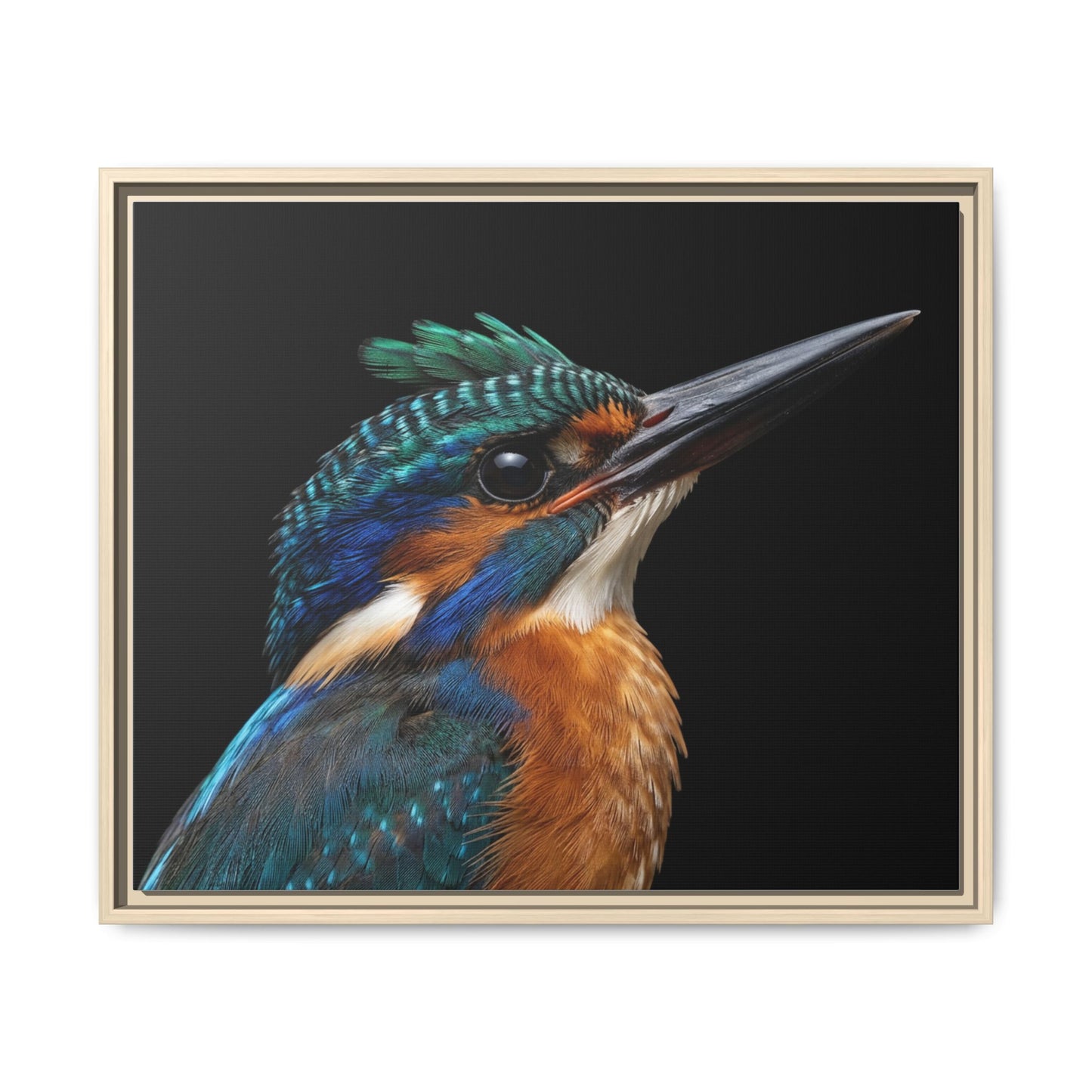 Framed Canvas Print — Malachite Kingfisher In Colour