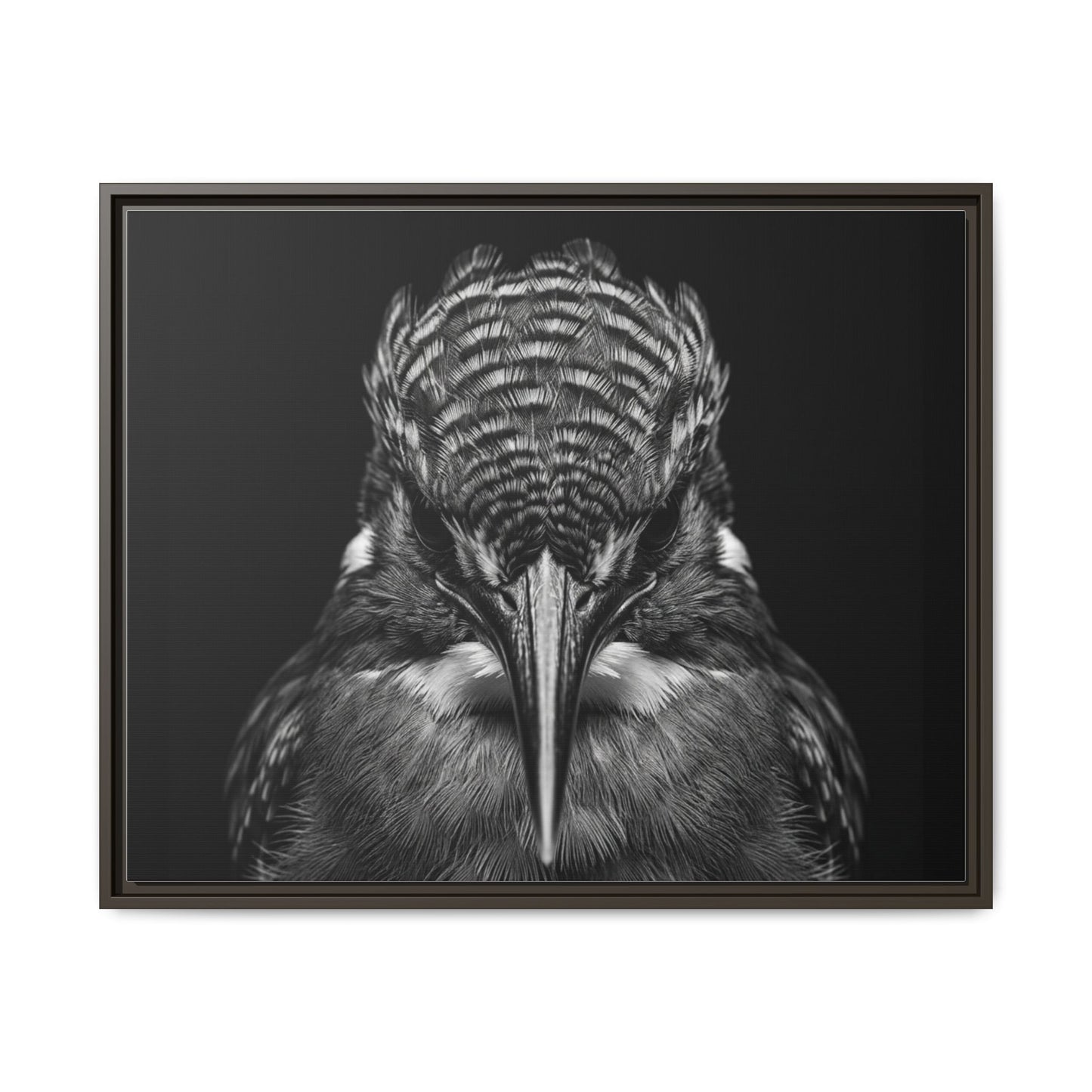 Framed Canvas Print — Malachite Kingfisher In Black