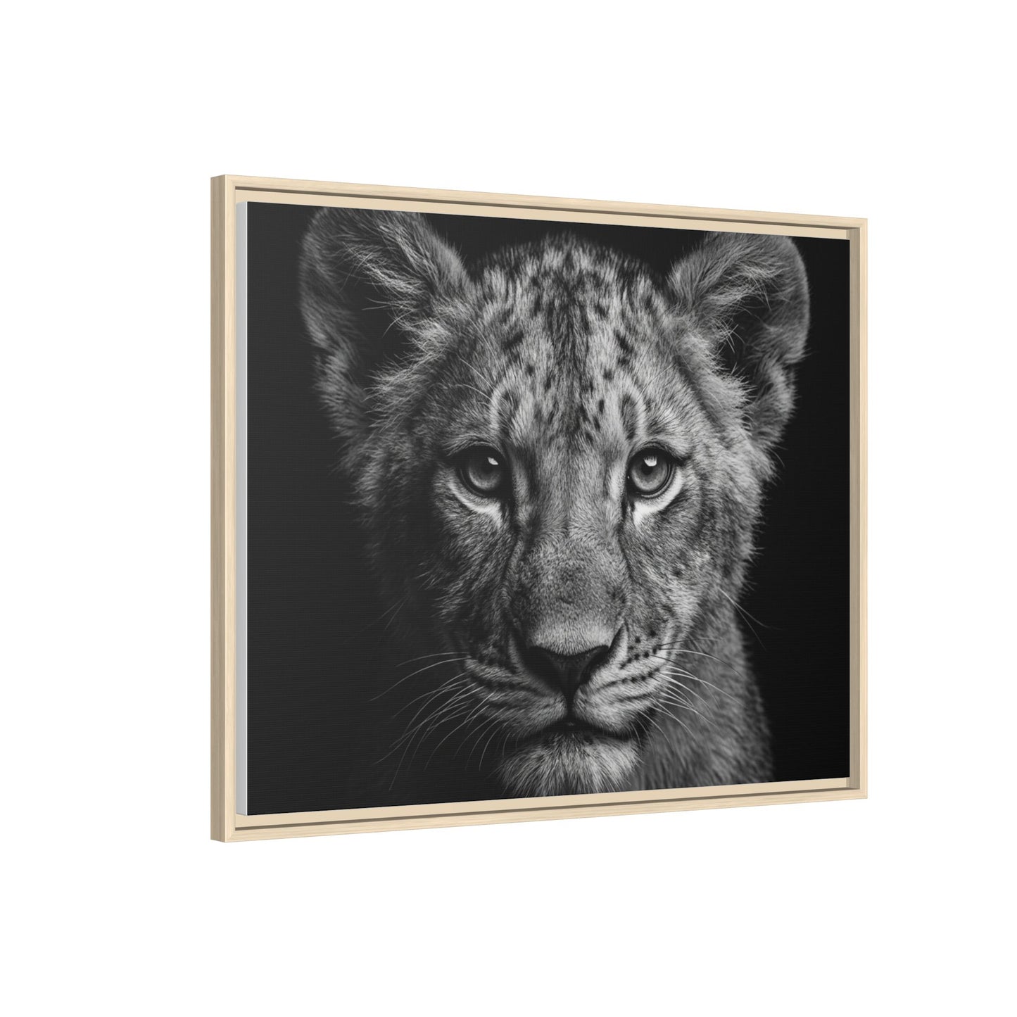 Framed Canvas Print — Lion Cub In Black