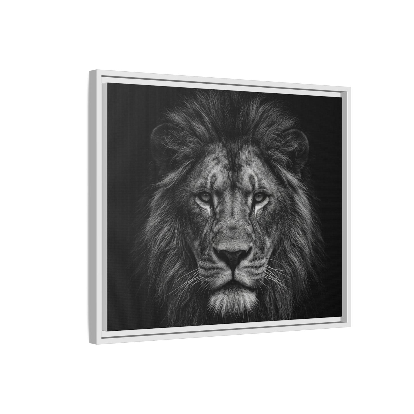 Framed Canvas Print — Lion In Black
