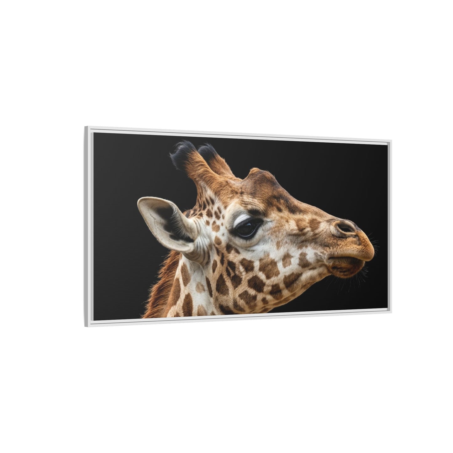 Framed Canvas Print — Giraffe In Colour