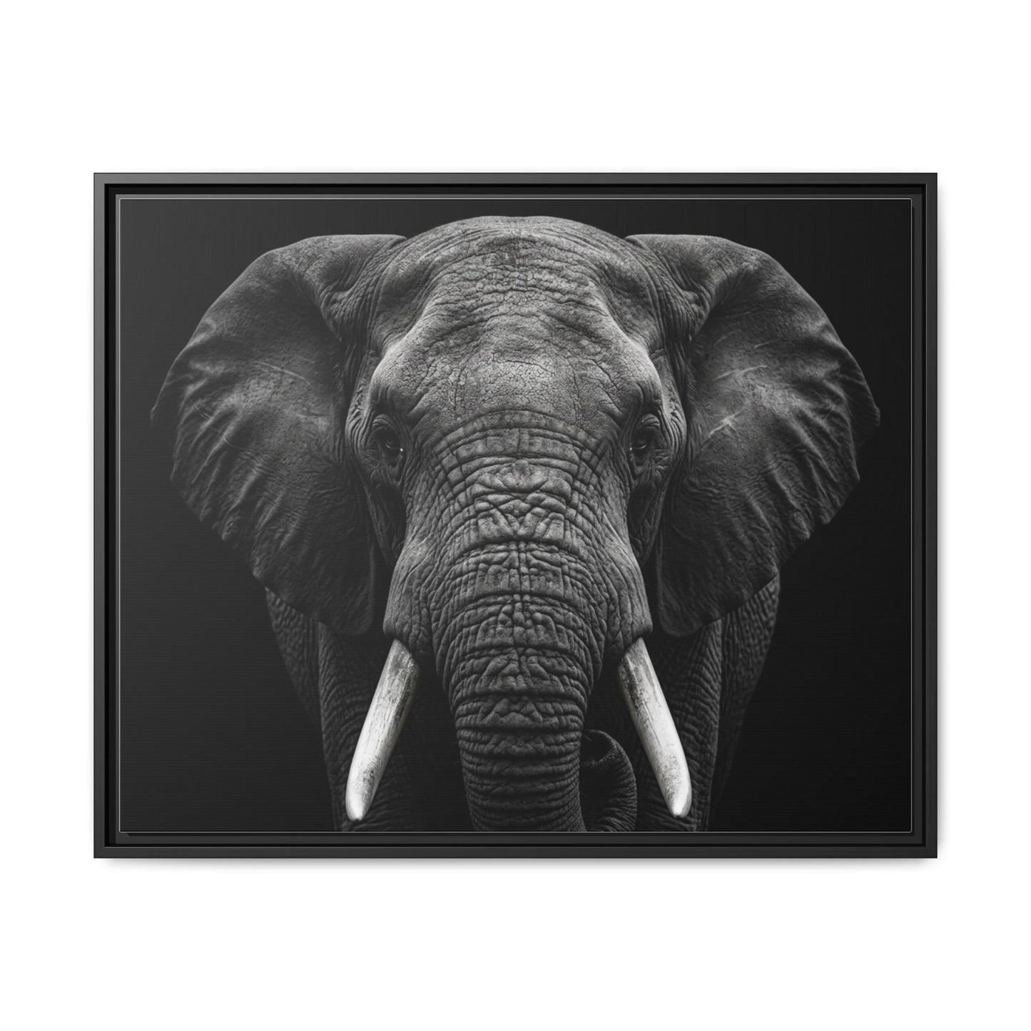 Framed Canvas Print — Elephant In Black