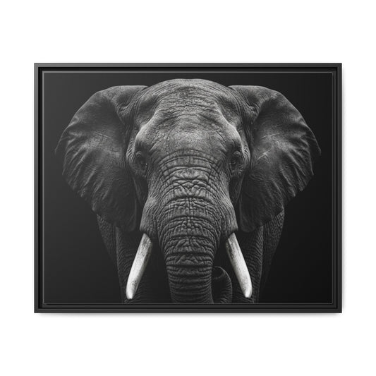 Framed Canvas Print — Elephant In Black