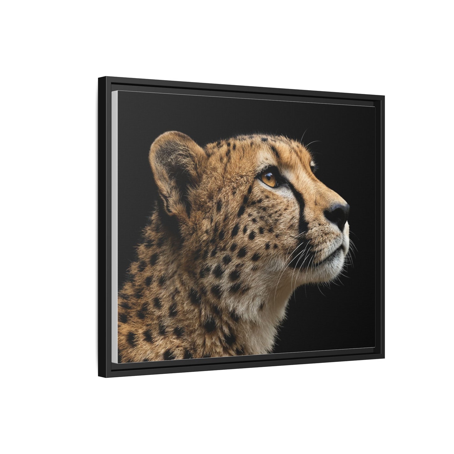 Framed Canvas Print — Cheetah In Colour