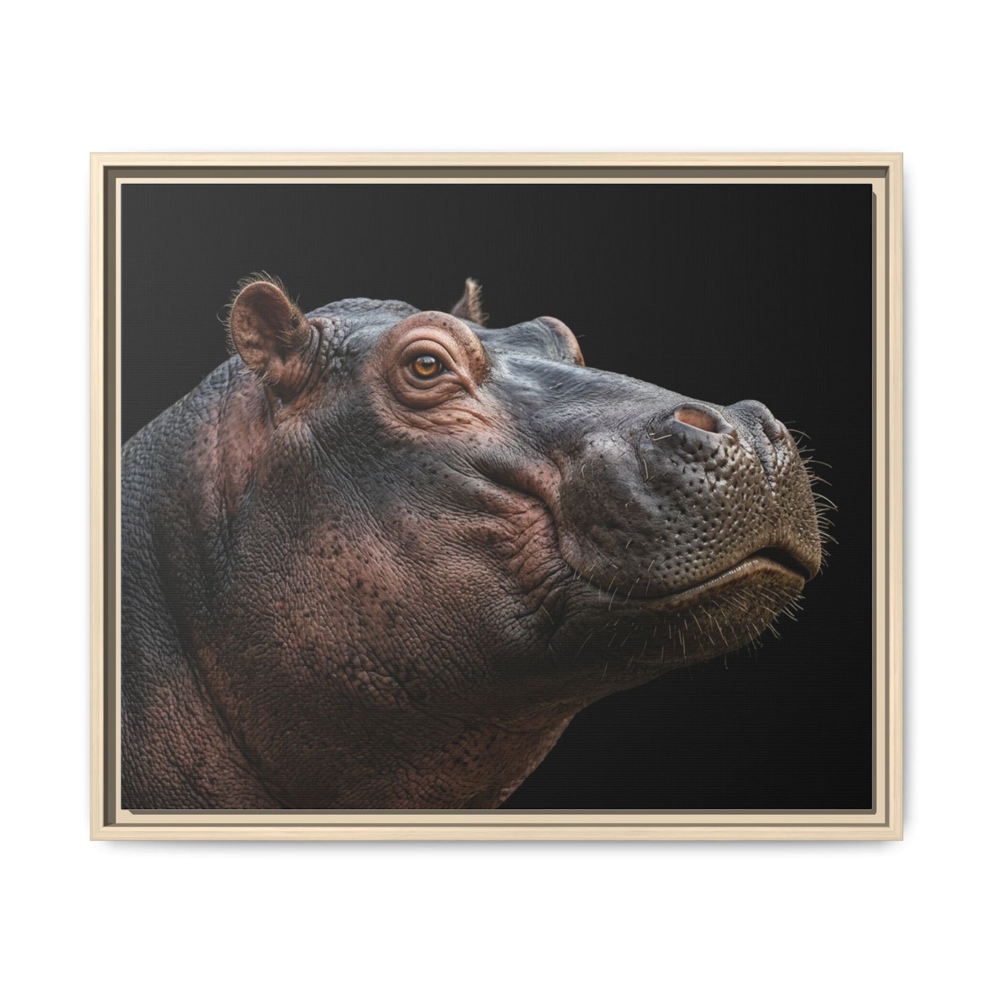 Framed Canvas Print — Hippopotamos In Colour