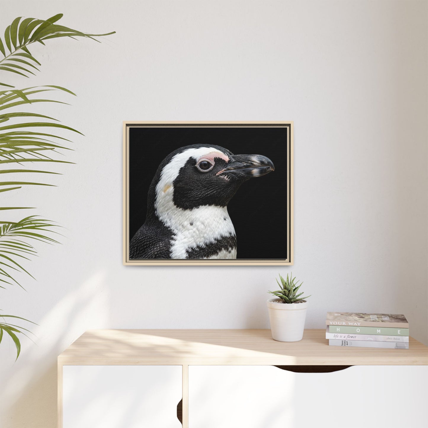 Framed Canvas Print — Afrikan Penguin In Colour