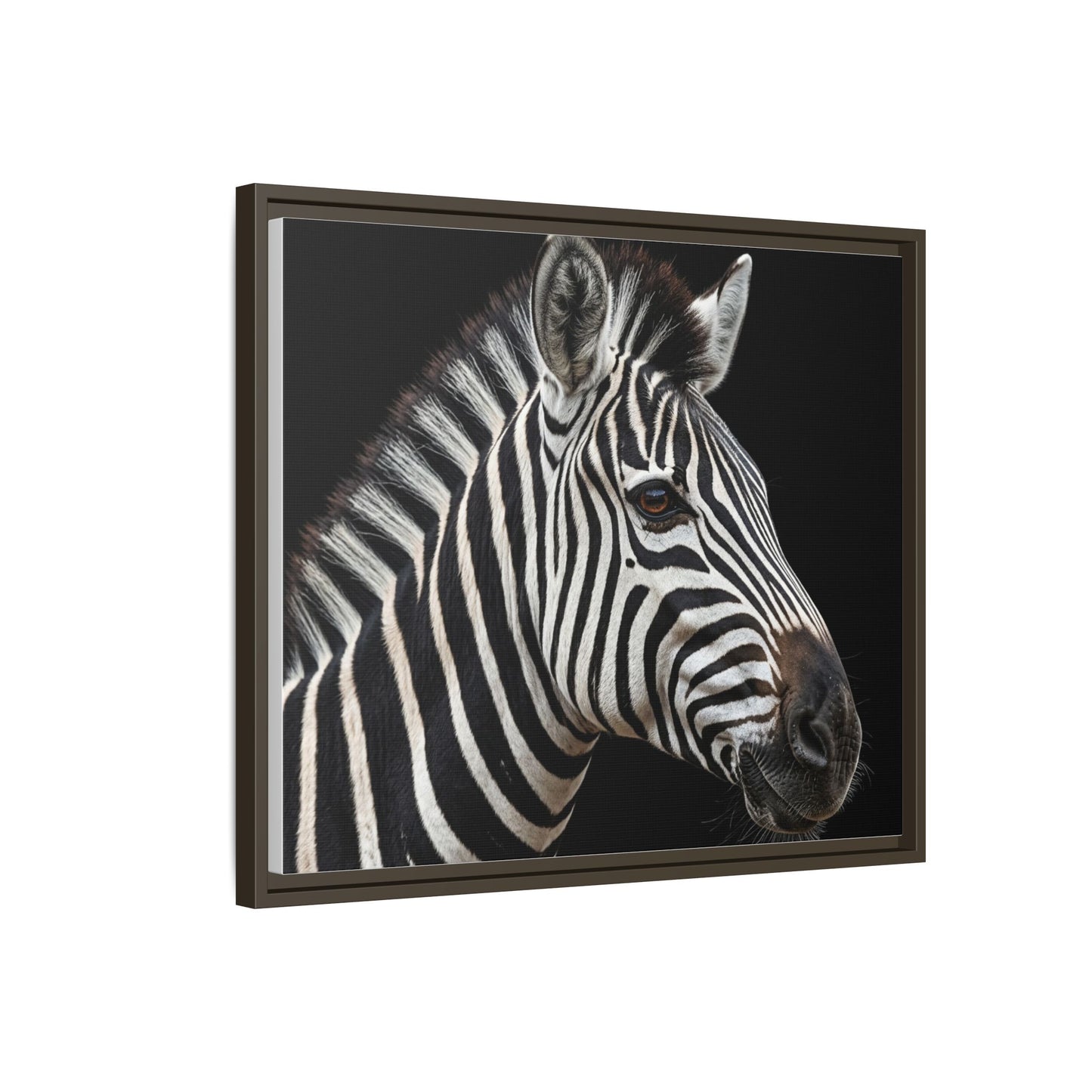Framed Canvas Print — Zebra In Colour