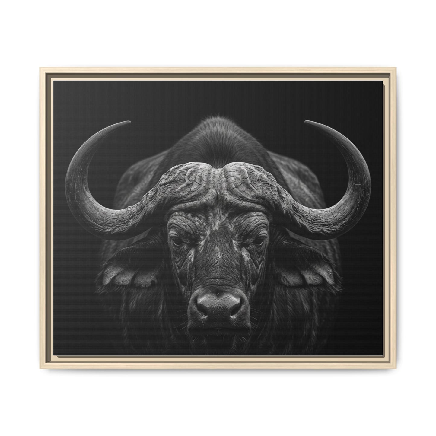 Framed Canvas Print — Cape Buffalo In Black