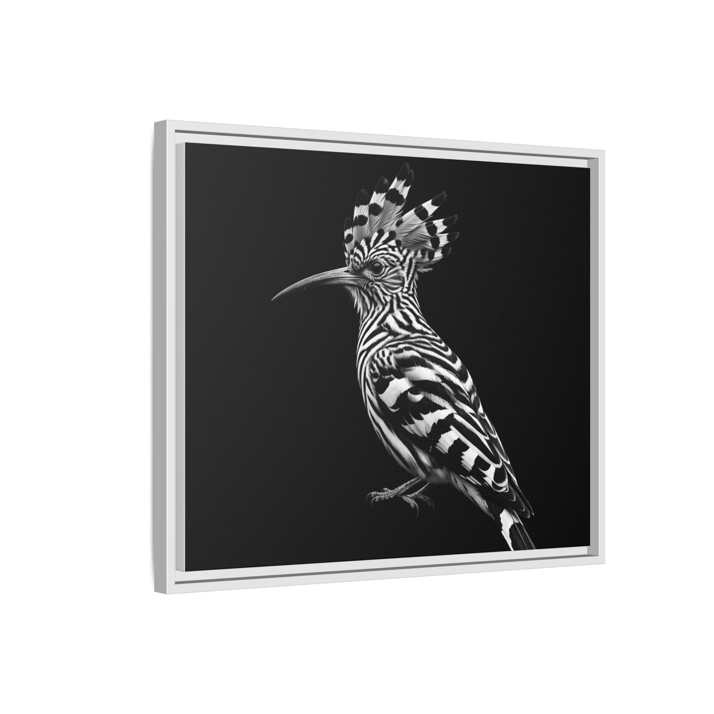 Framed Canvas Print — Afrikan Hoopoe In Black