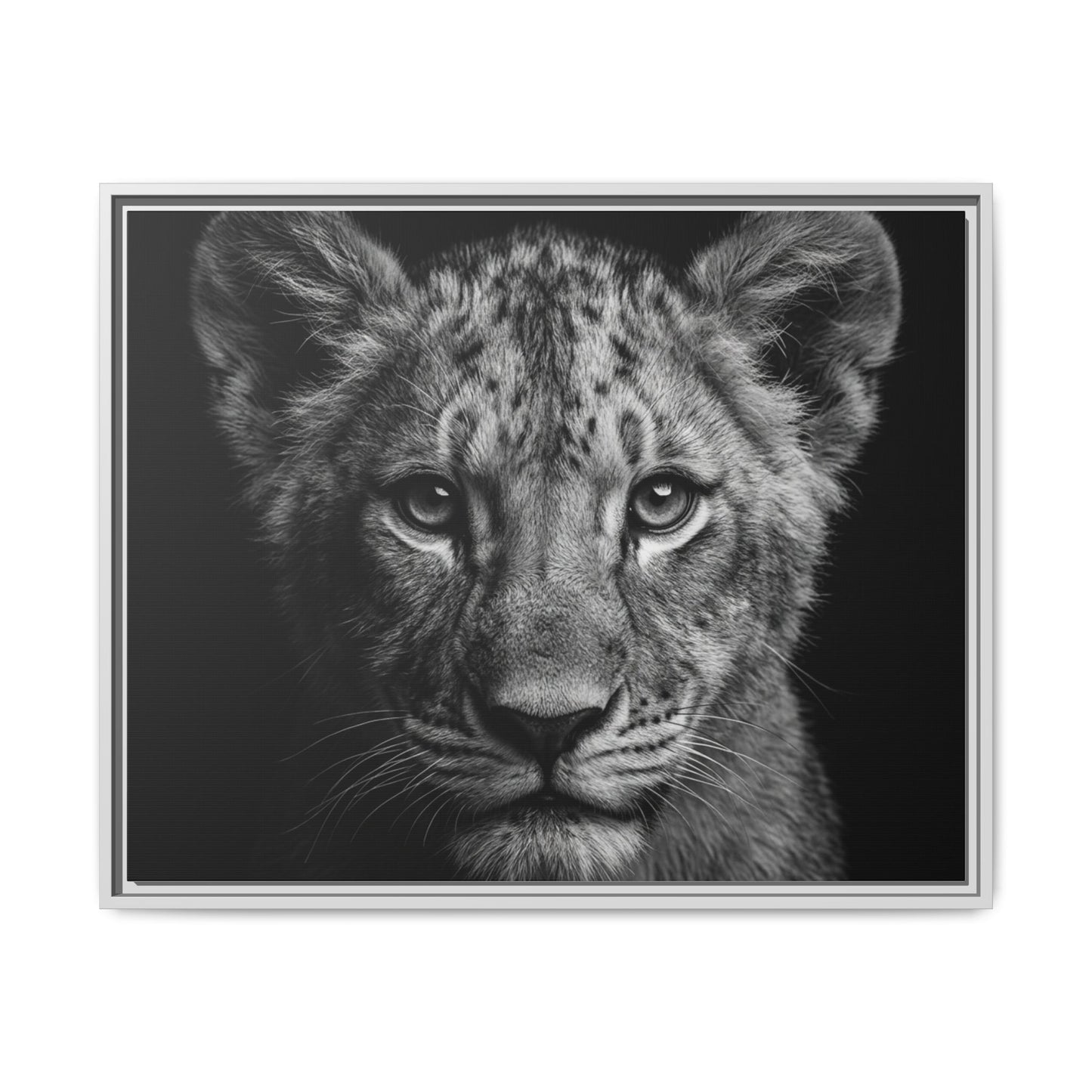 Framed Canvas Print — Lion Cub In Black