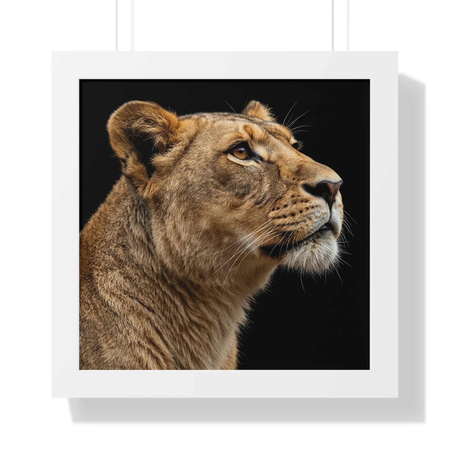 Framed Art Print – Lioness In Colour