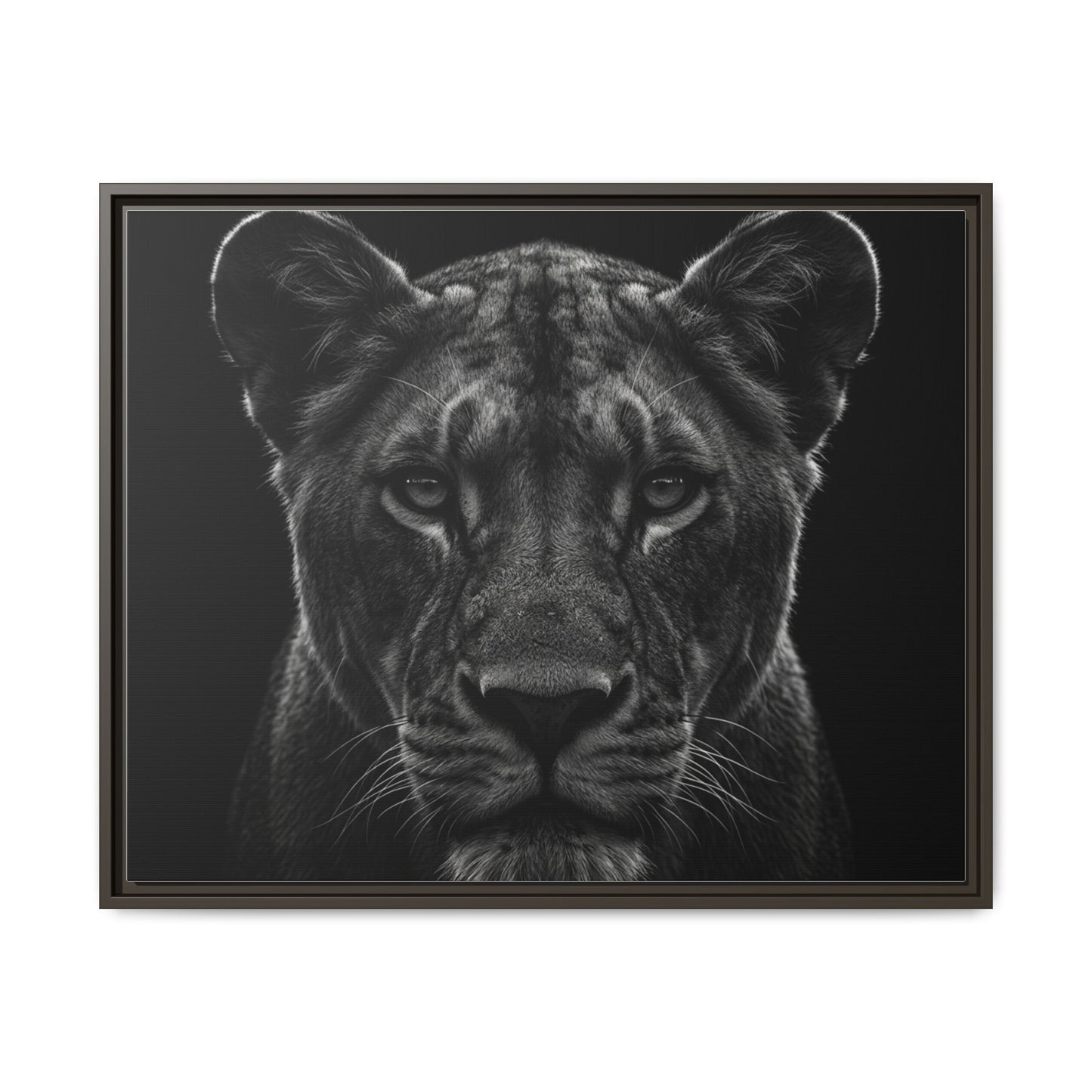 Framed Canvas Print — Lioness In Black