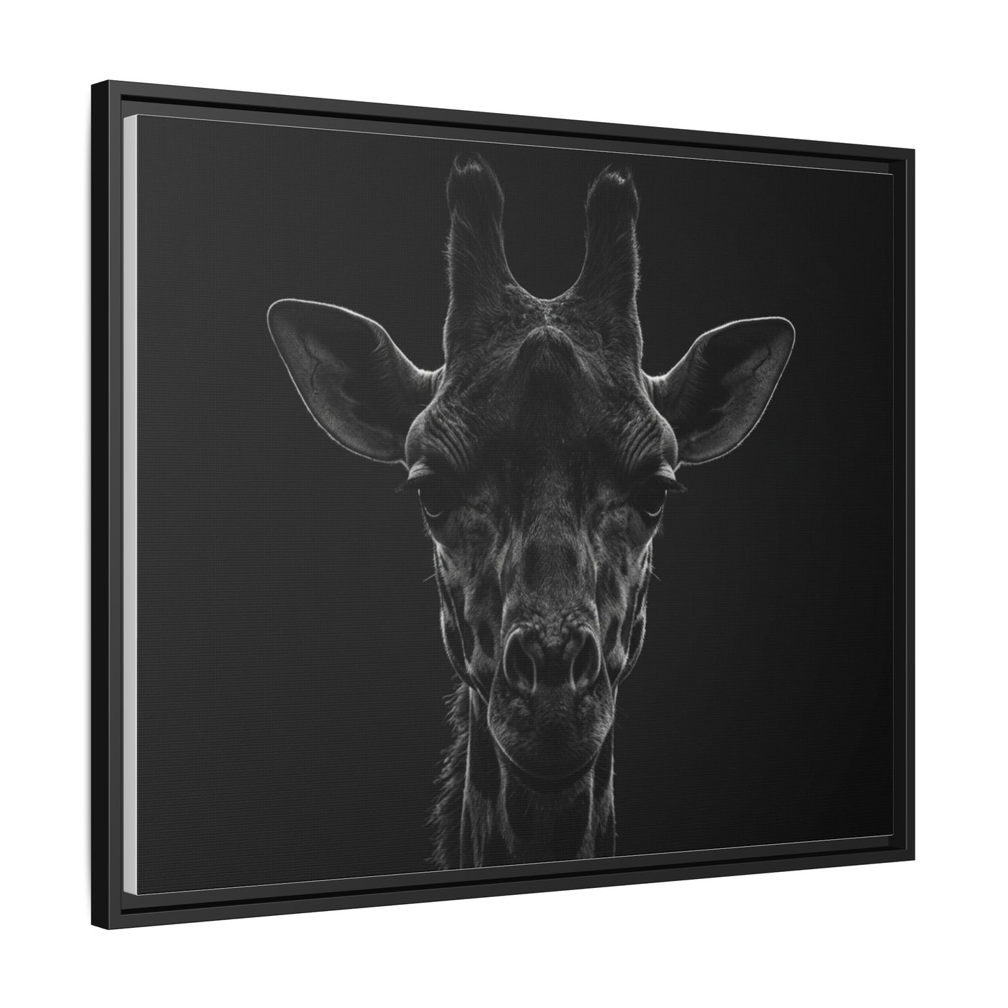 Framed Canvas Print — Giraffe In Black