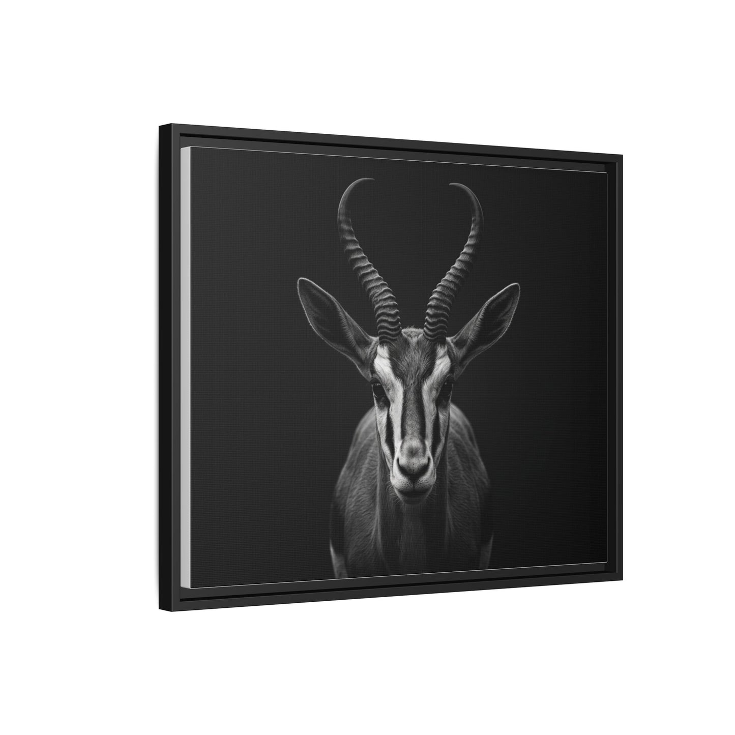 Framed Canvas Print — Springbok In Black