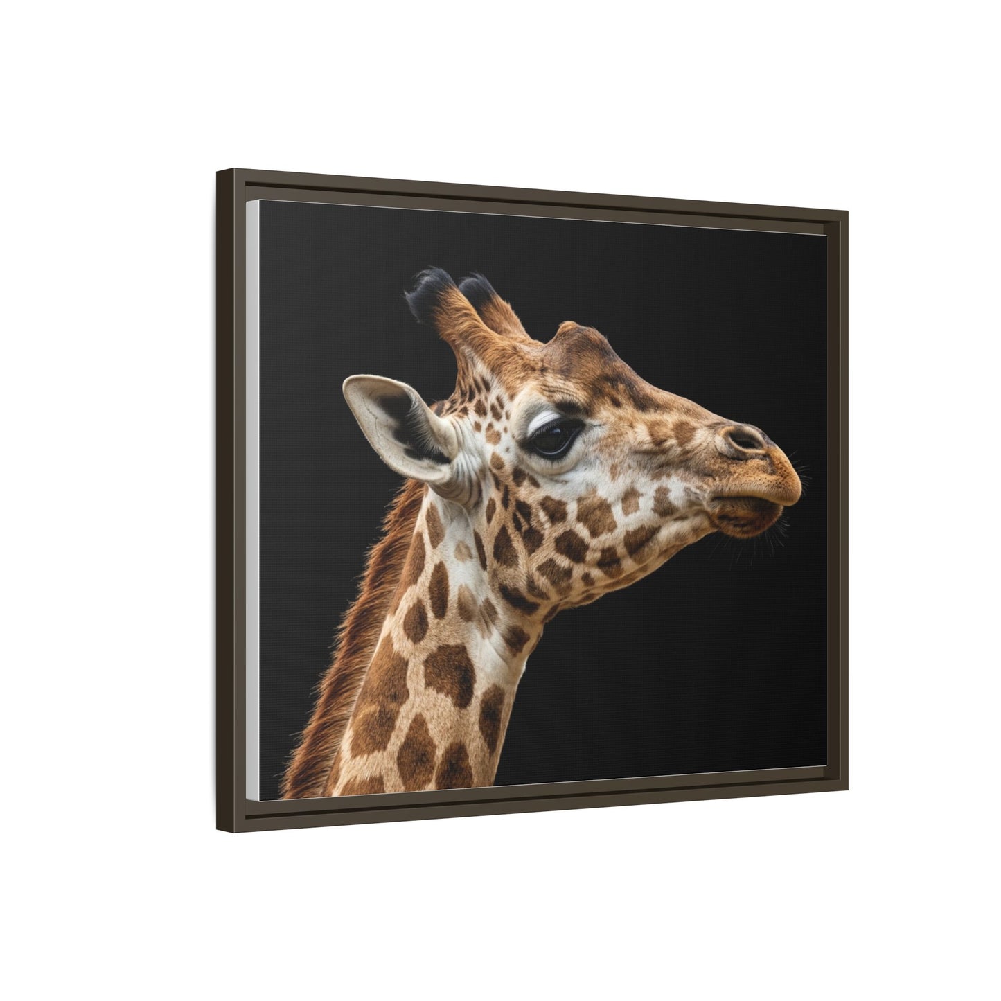 Framed Canvas Print — Giraffe In Colour