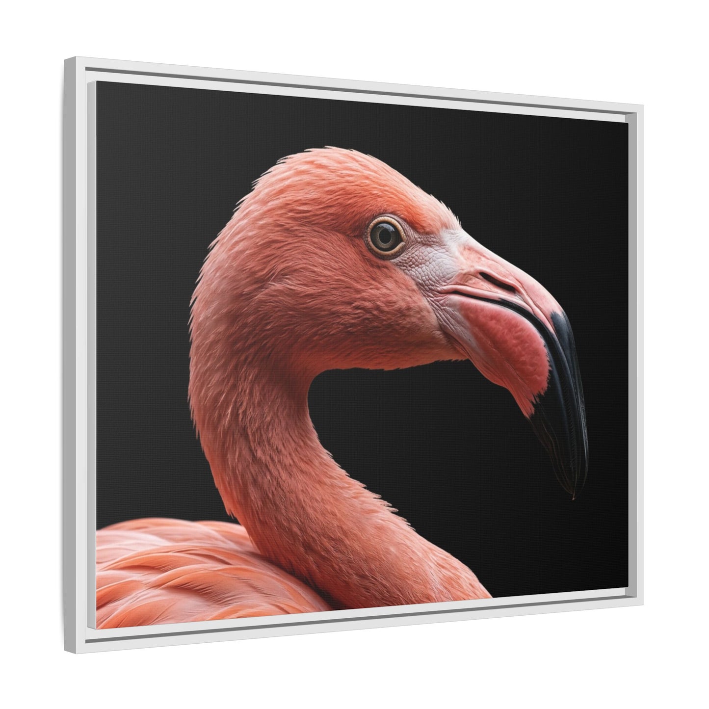 Framed Canvas Print — Flamingo In Colour