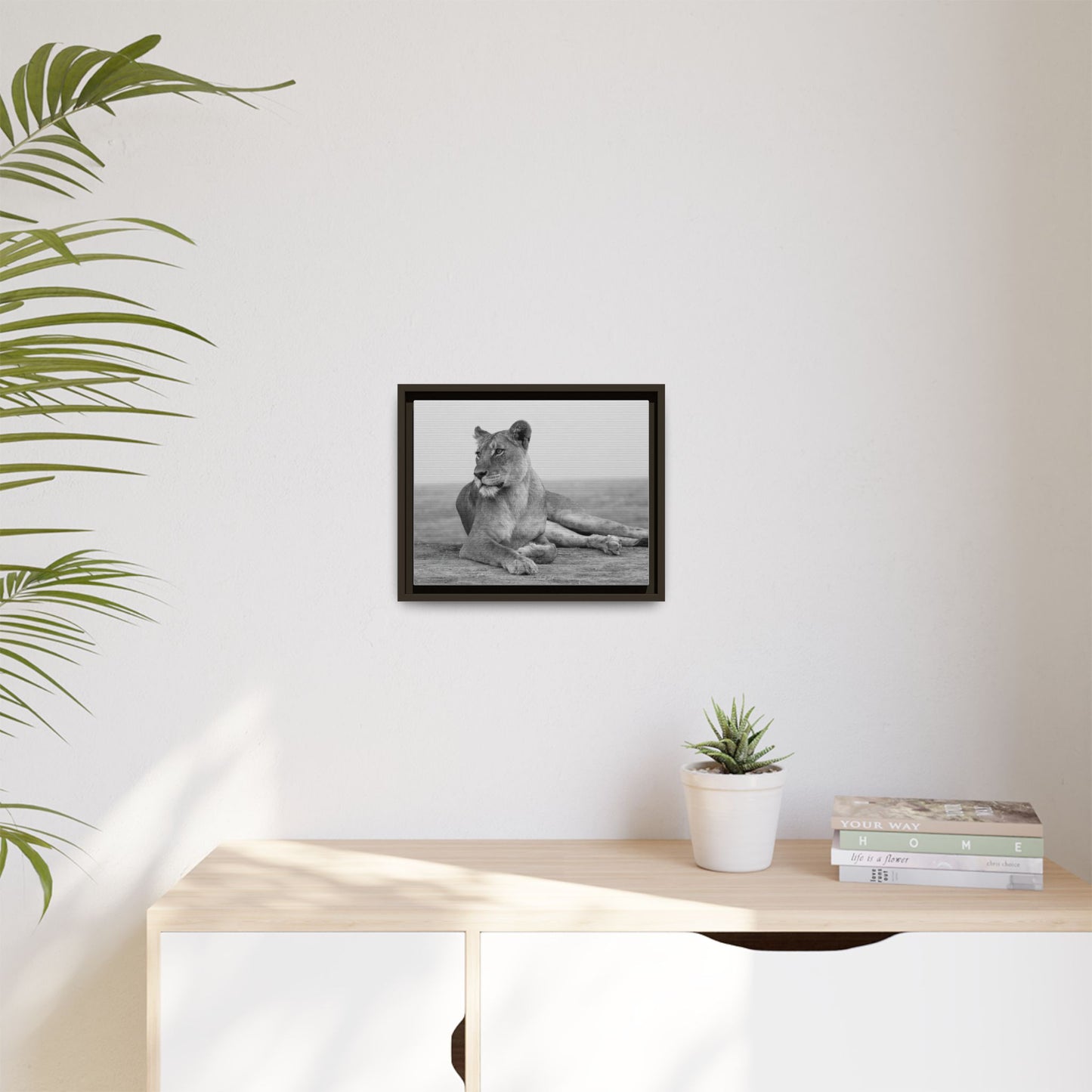 Framed Canvas Print — Lioness In Repose