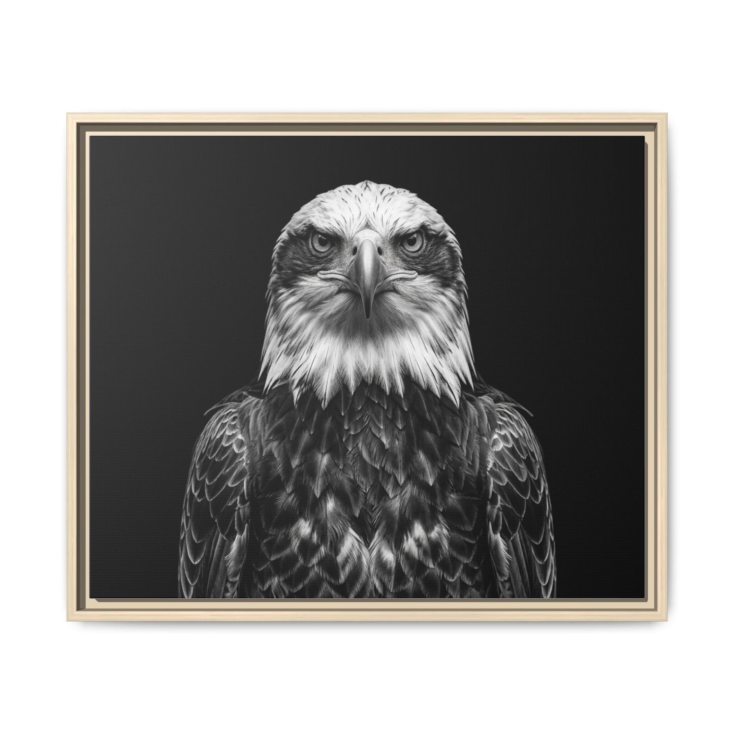 Framed Canvas Print — Fish Eagle In Black