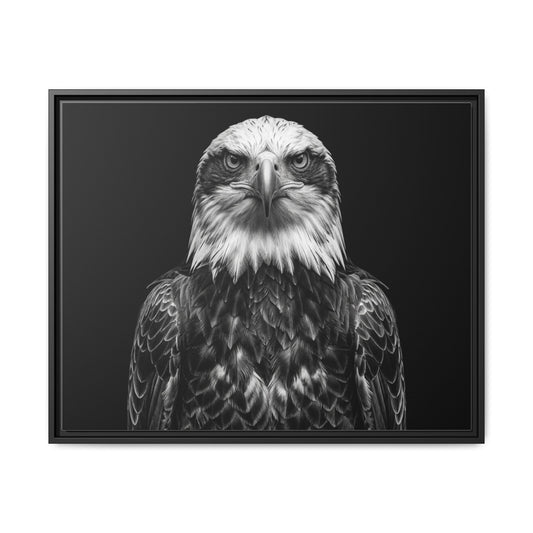 Framed Canvas Print — Fish Eagle In Black