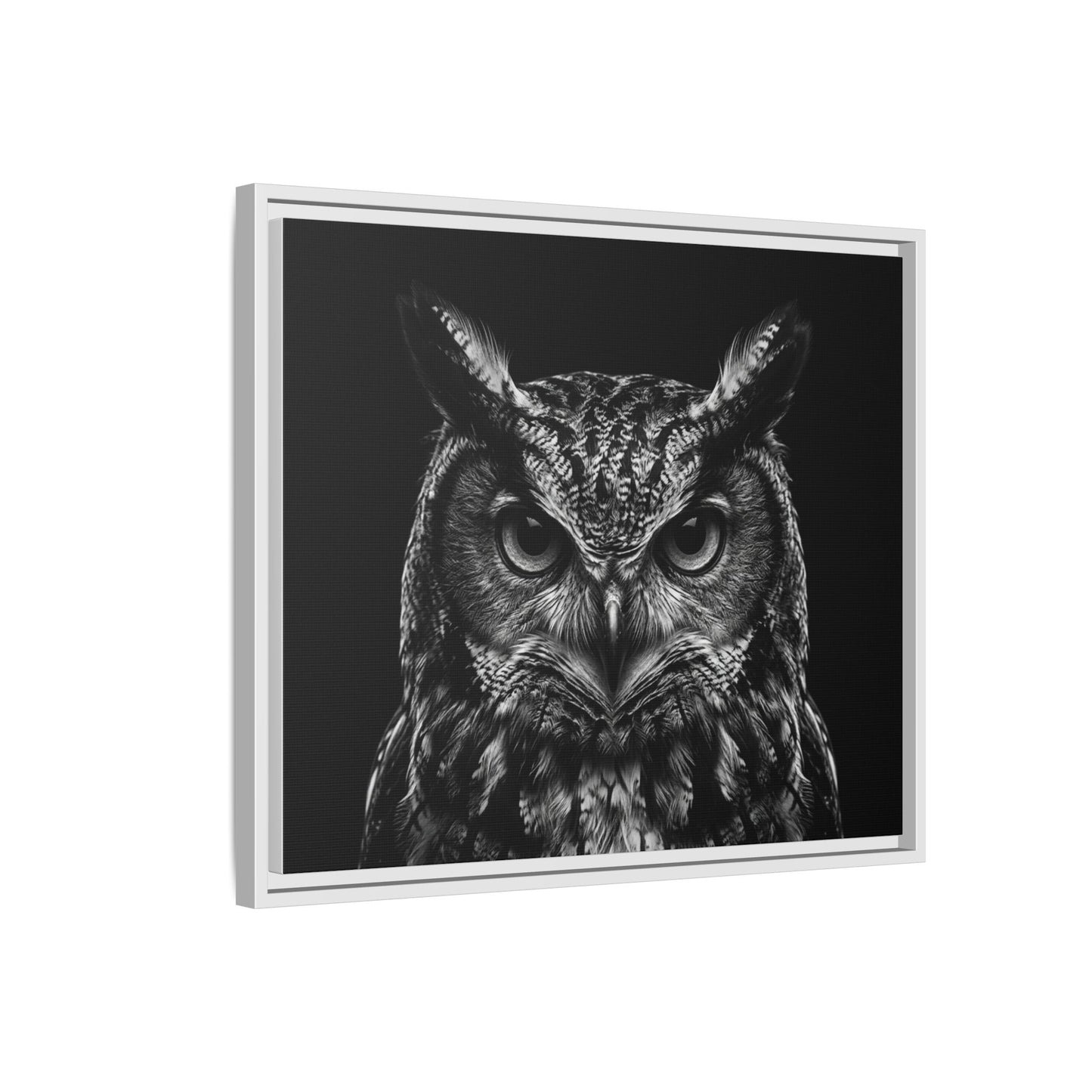 Framed Canvas Print — Scops Owl In Black
