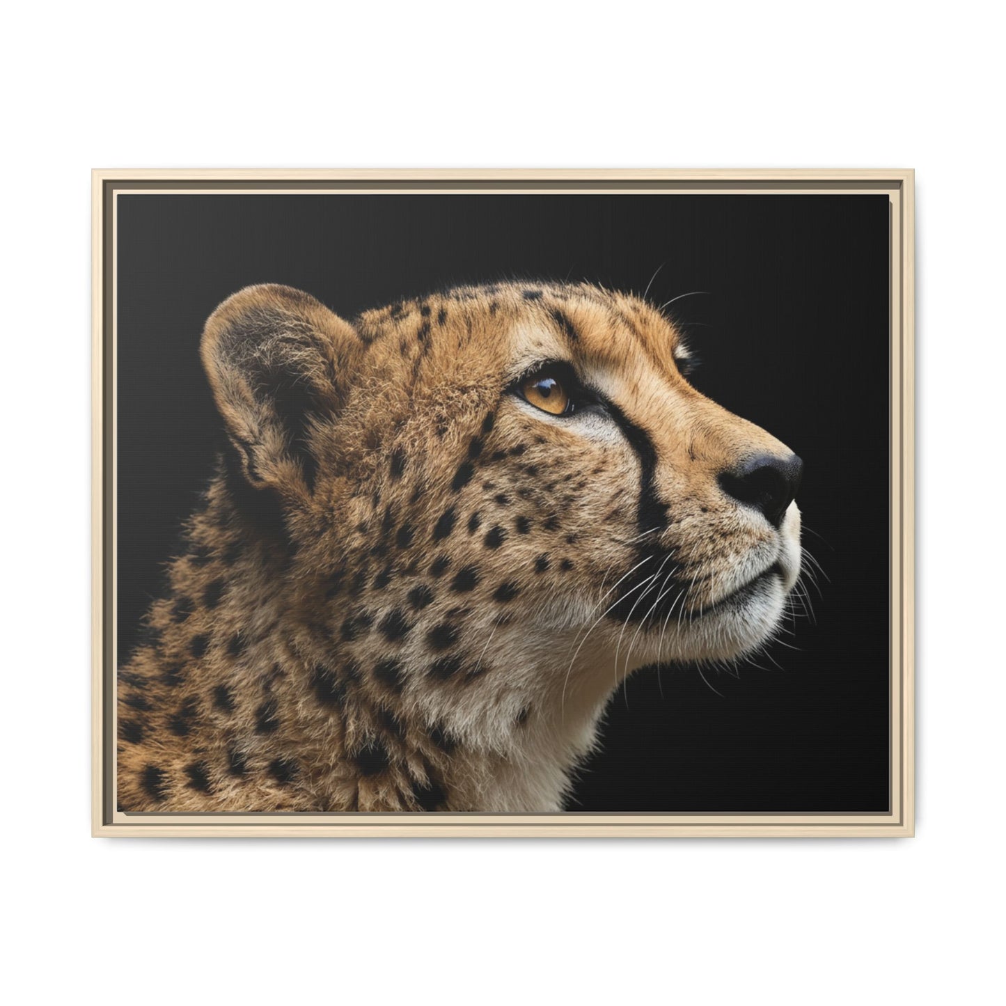 Framed Canvas Print — Cheetah In Colour