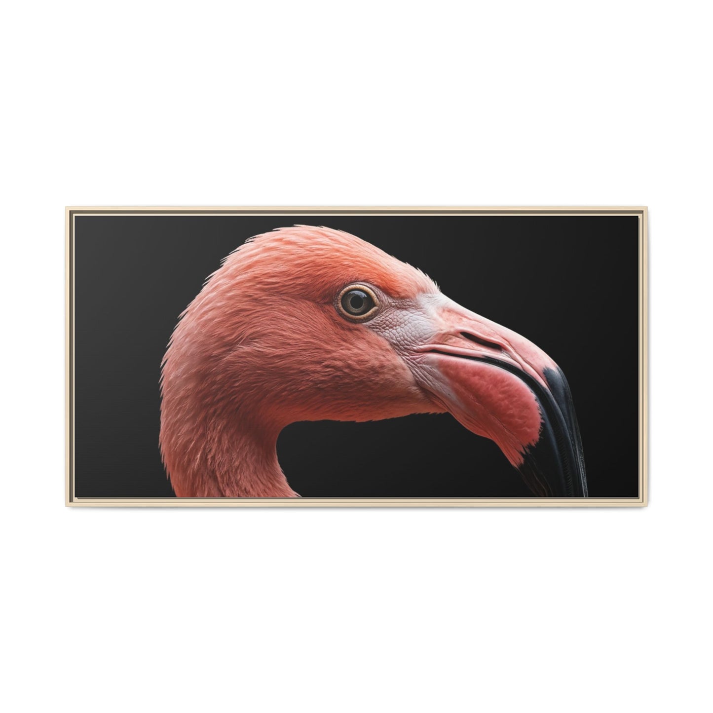 Framed Canvas Print — Flamingo In Colour