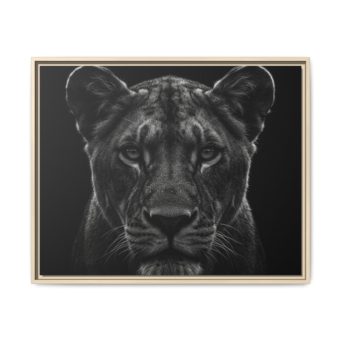Framed Canvas Print — Lioness In Black