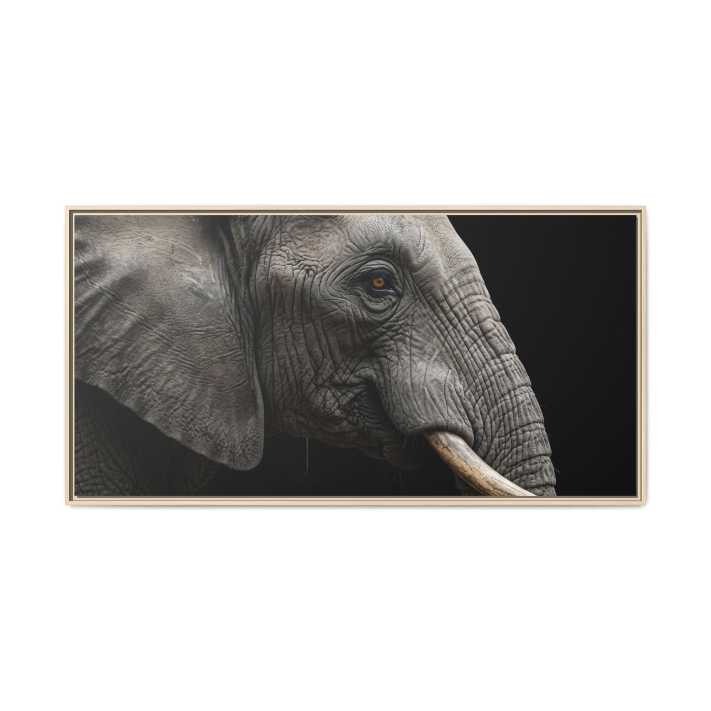 Framed Canvas Print — Elephant In Colour