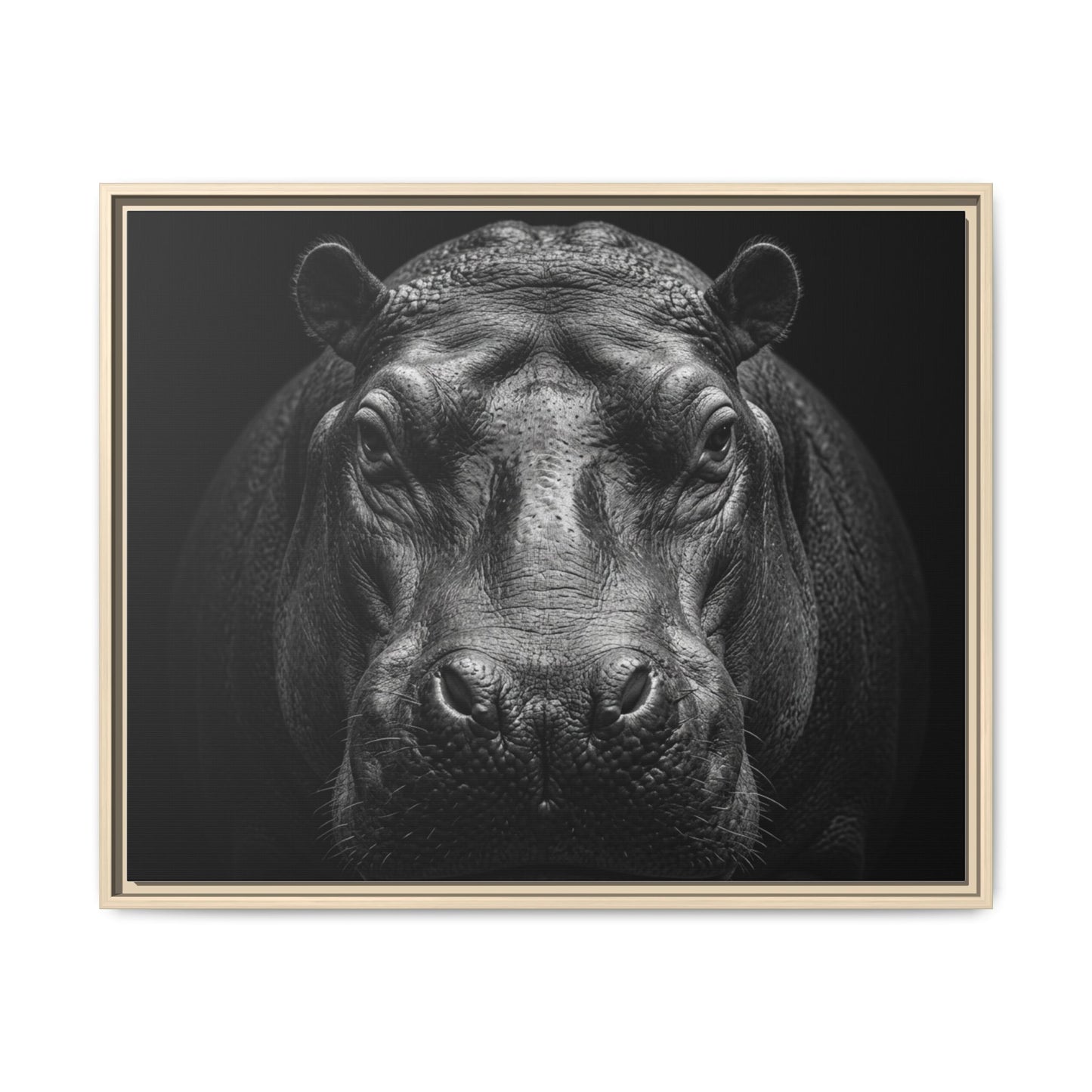 Framed Canvas Print — Hippopotamus In Black