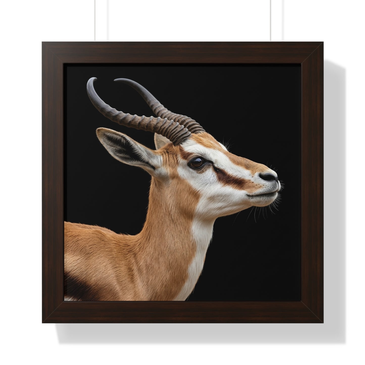 Framed Art Print – Springbok In Colour