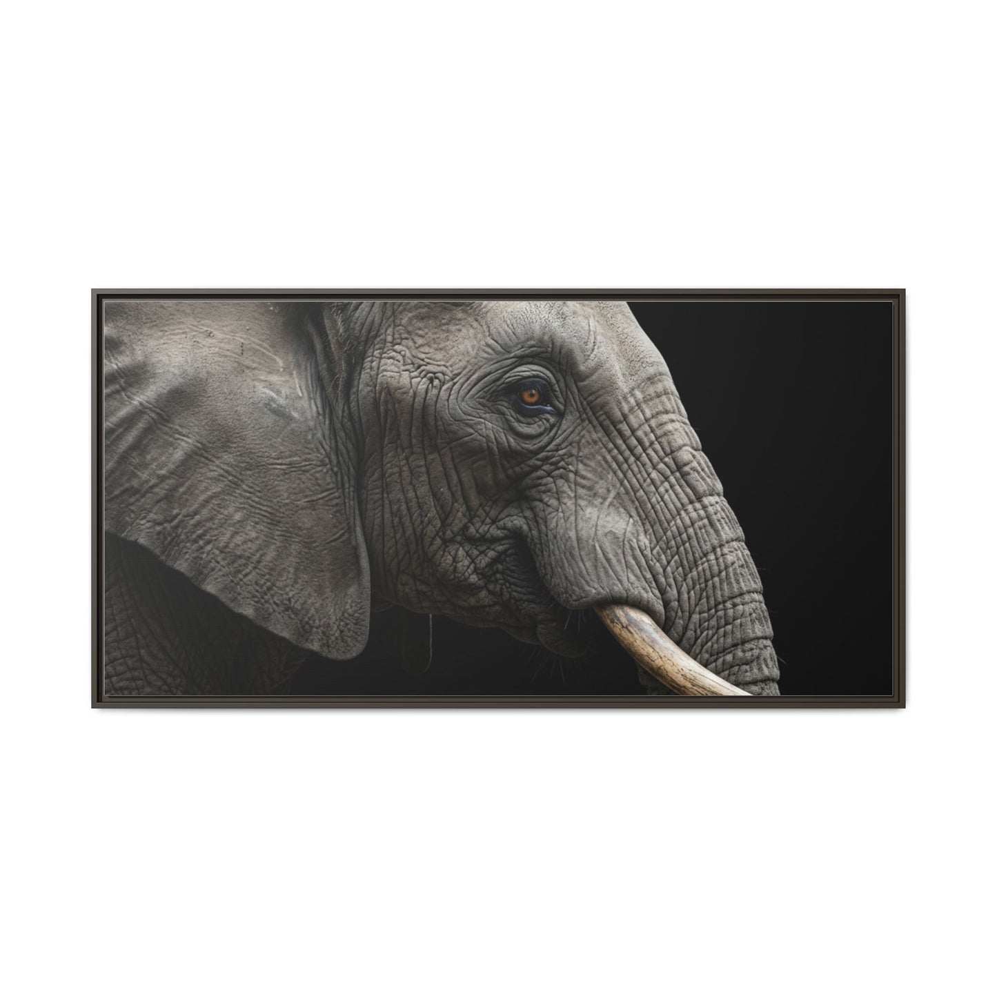 Framed Canvas Print — Elephant In Colour